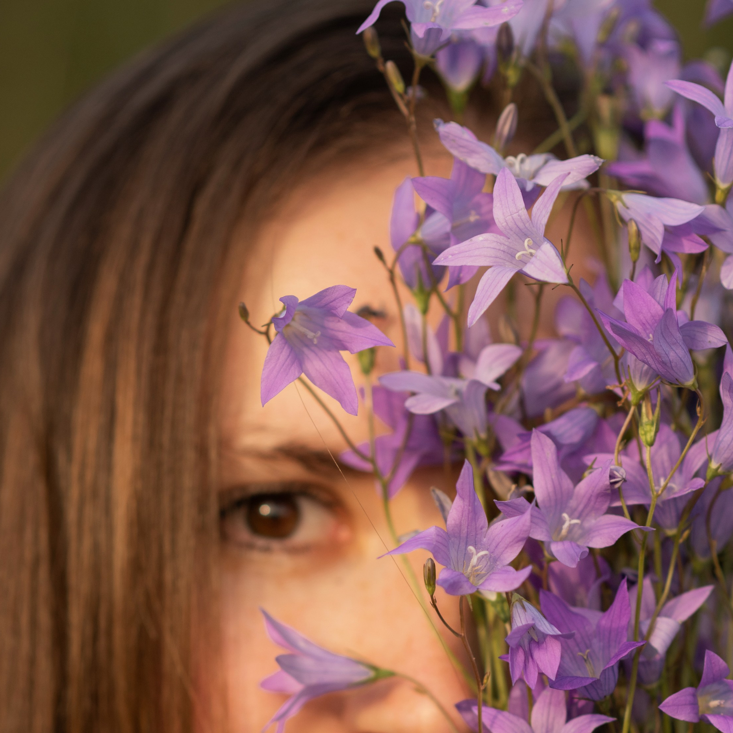 Лето в колокольчиках