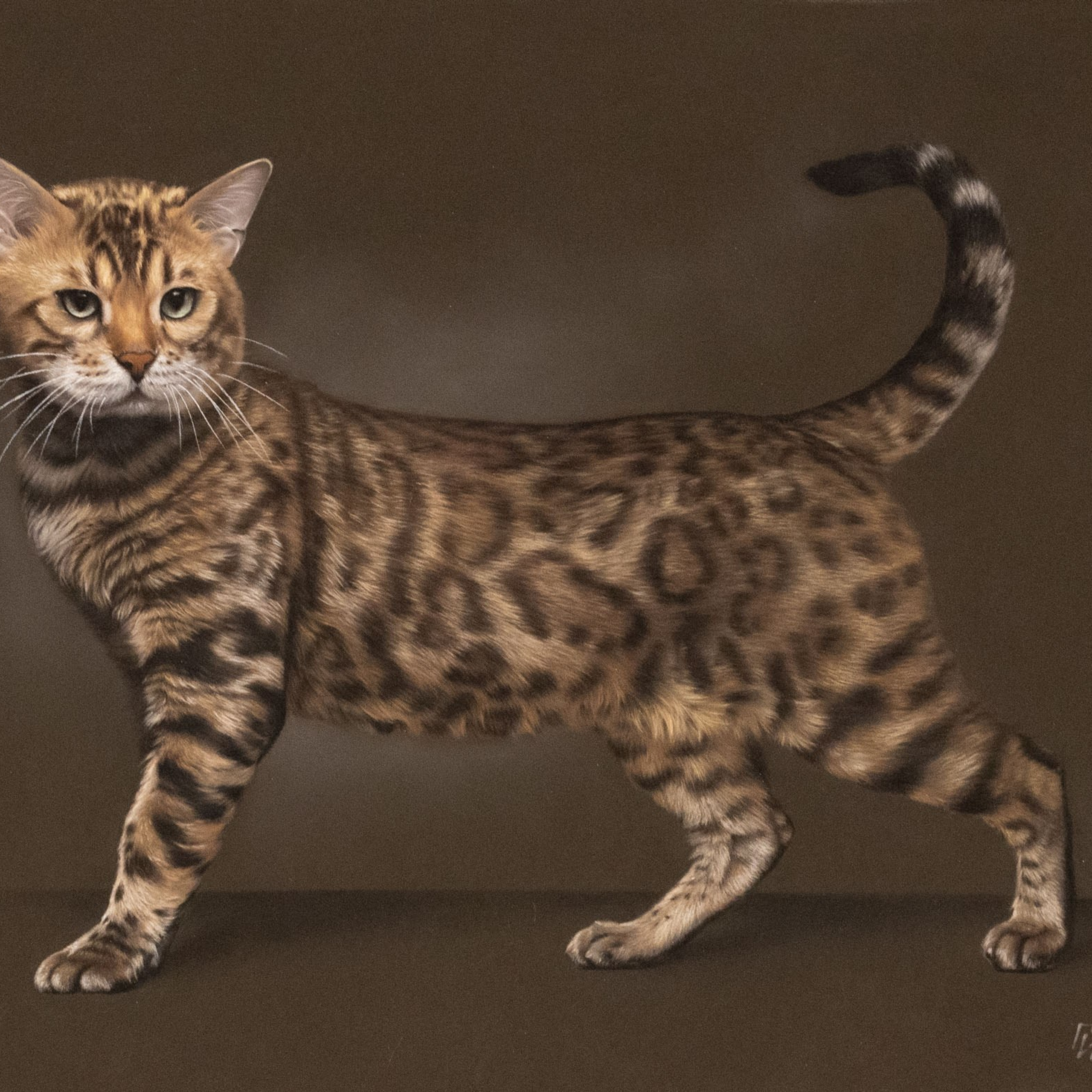 Анималистика