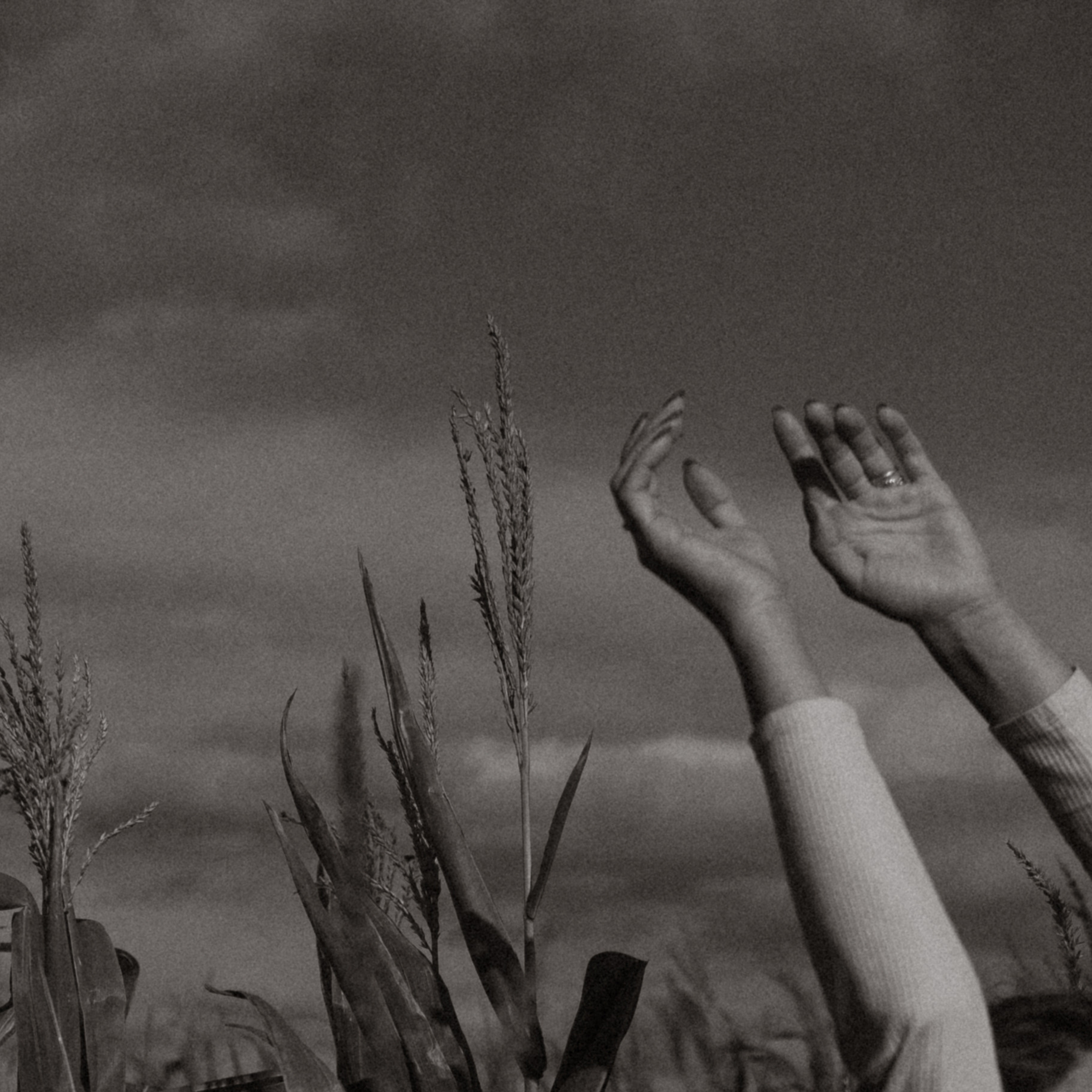 Отзывы. Фотограф Ксения Дзюбак Самара-Москва