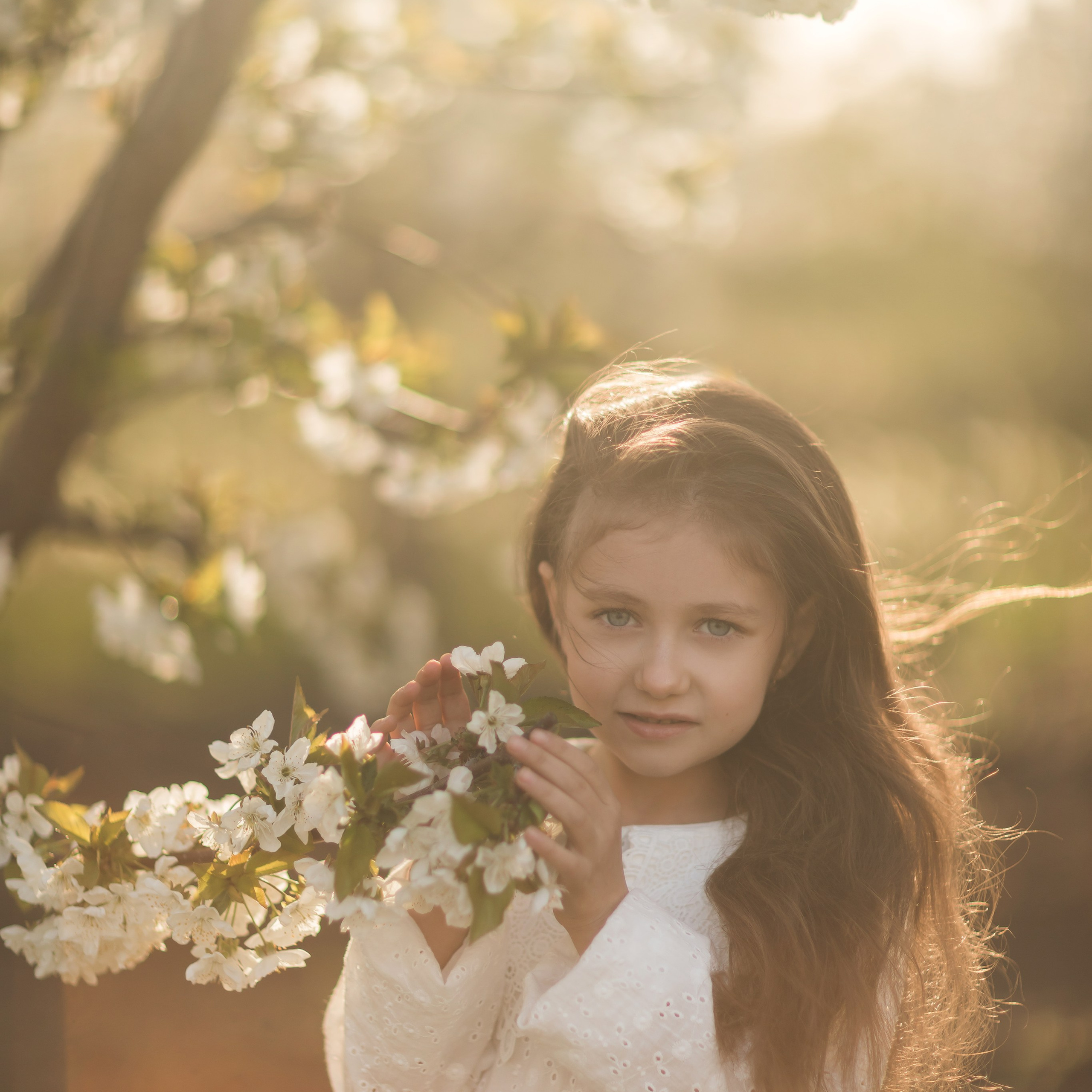 Вишневый сад