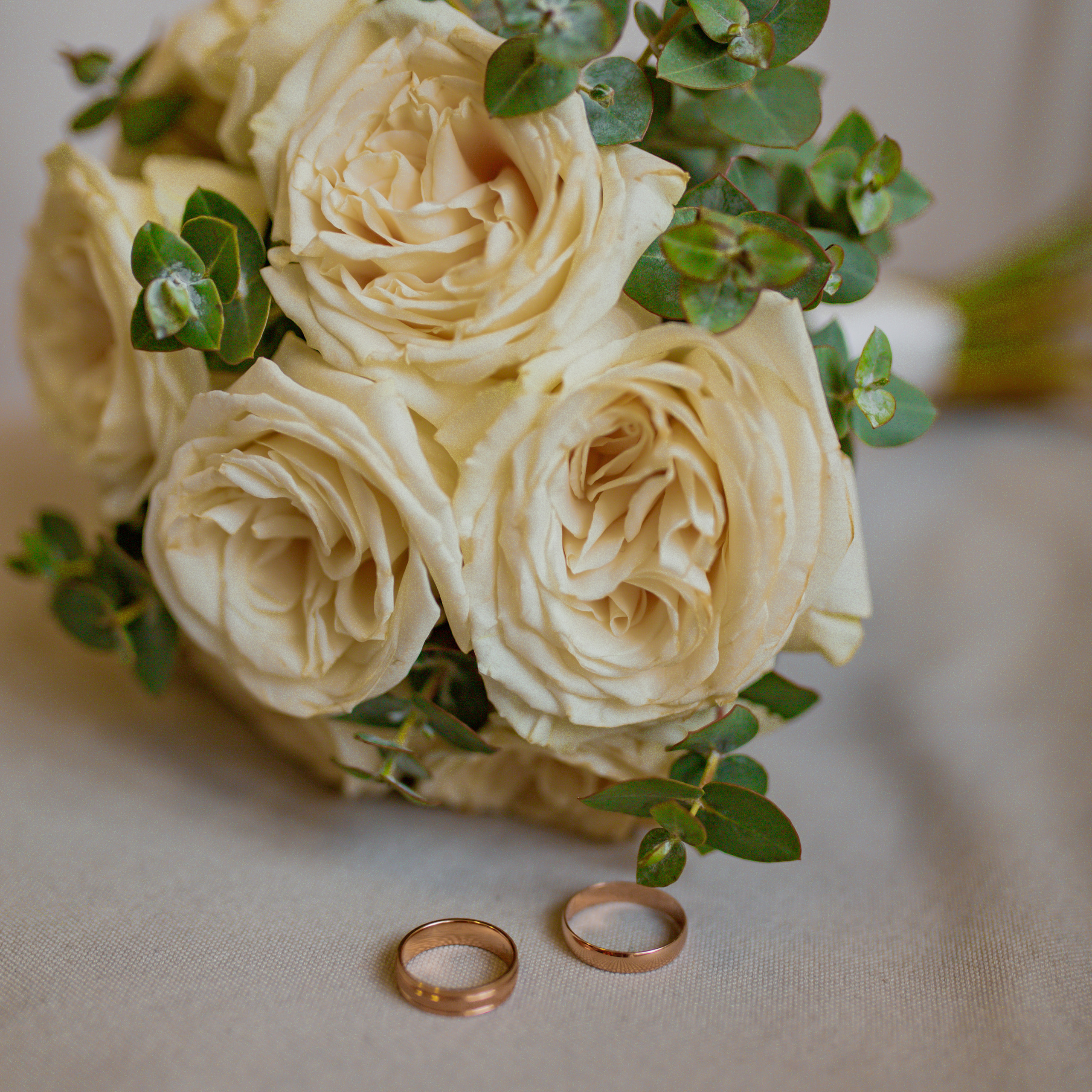 Отзывы. Фотограф Роксана, Санкт-Петербург