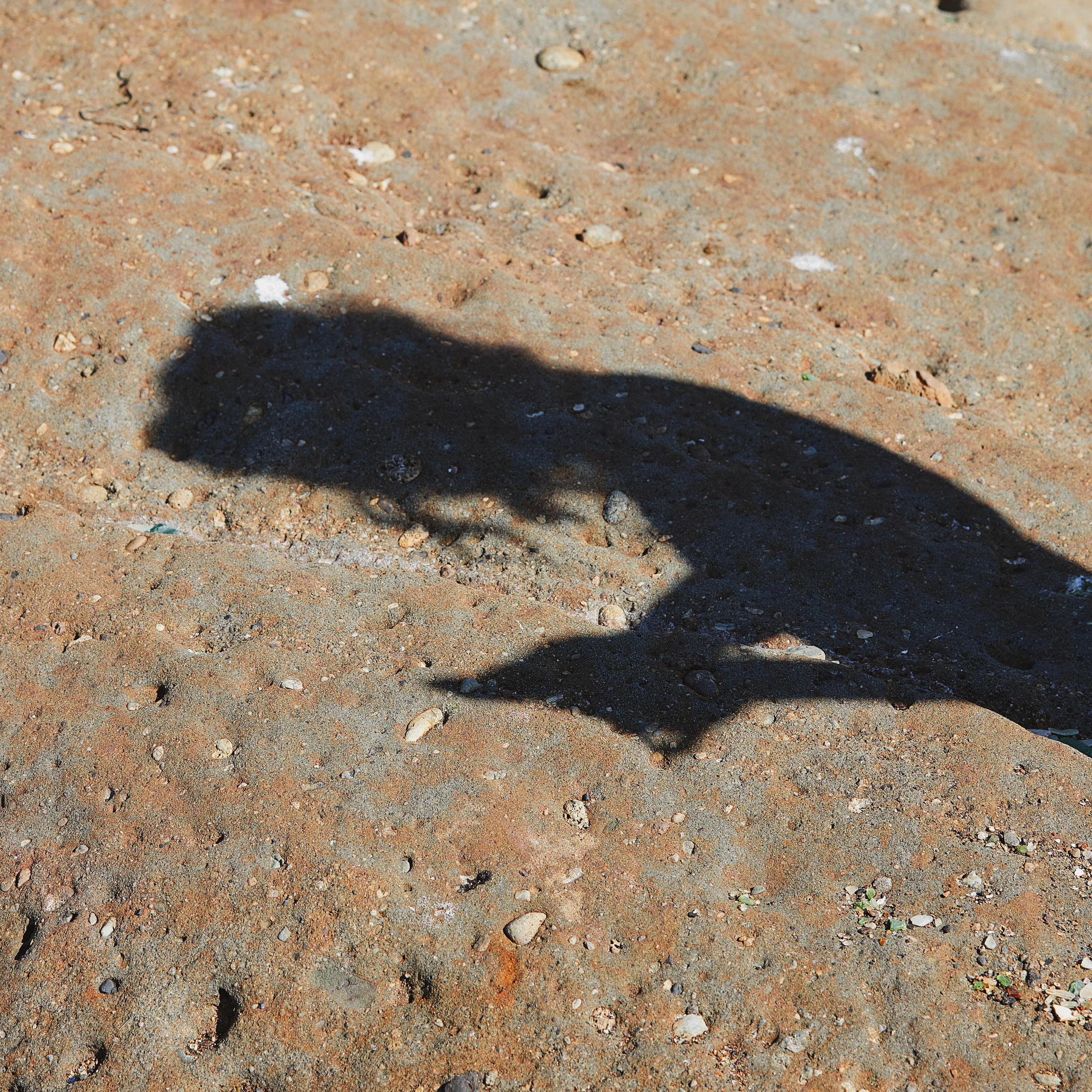 Отзывы. Репортажный фотограф Владивосток Анастасия Сокольникова