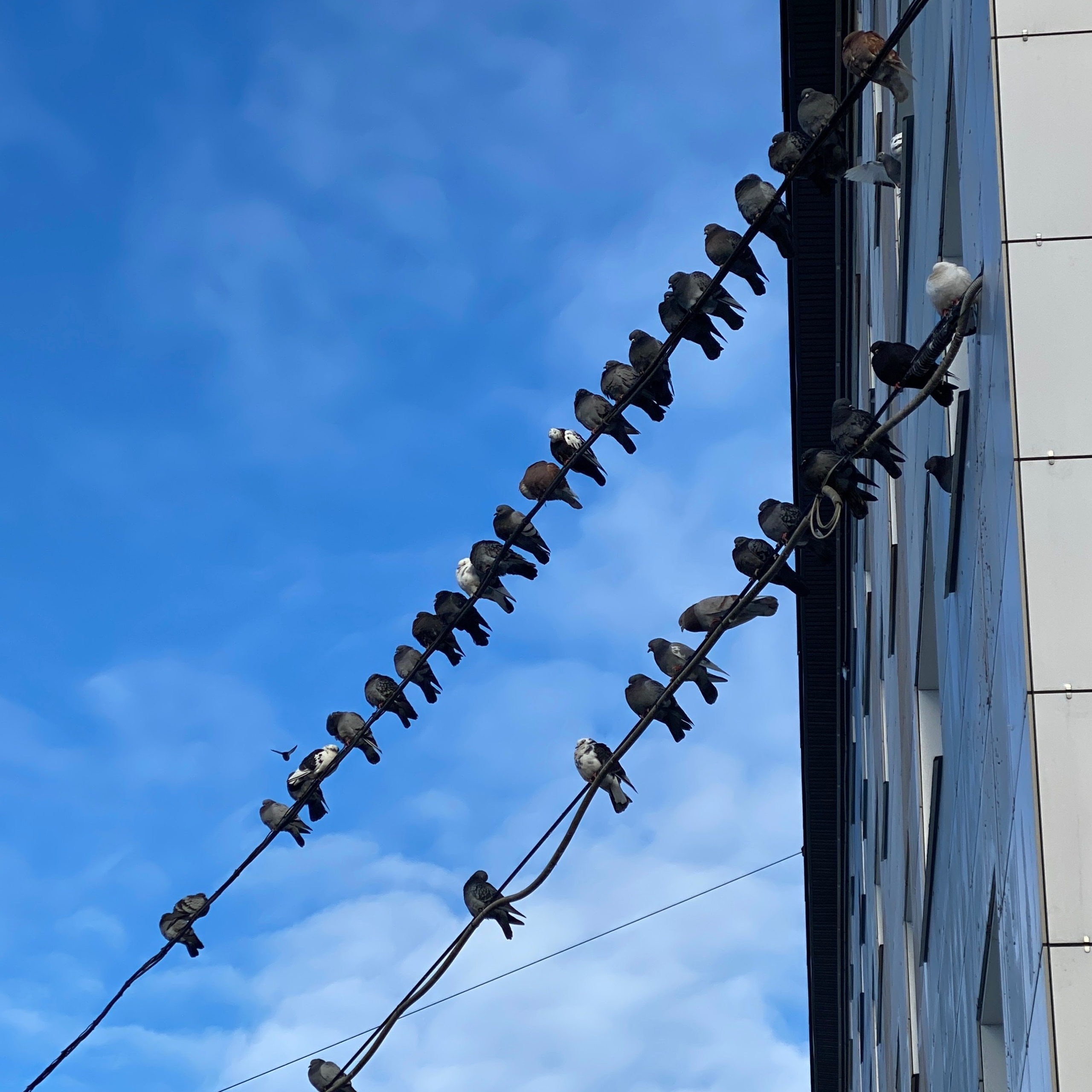 «ЗАМЕЧАЙ». Фотограф Наталья Могилевская Мурманск Териберка Сейдозеро Рыбачий