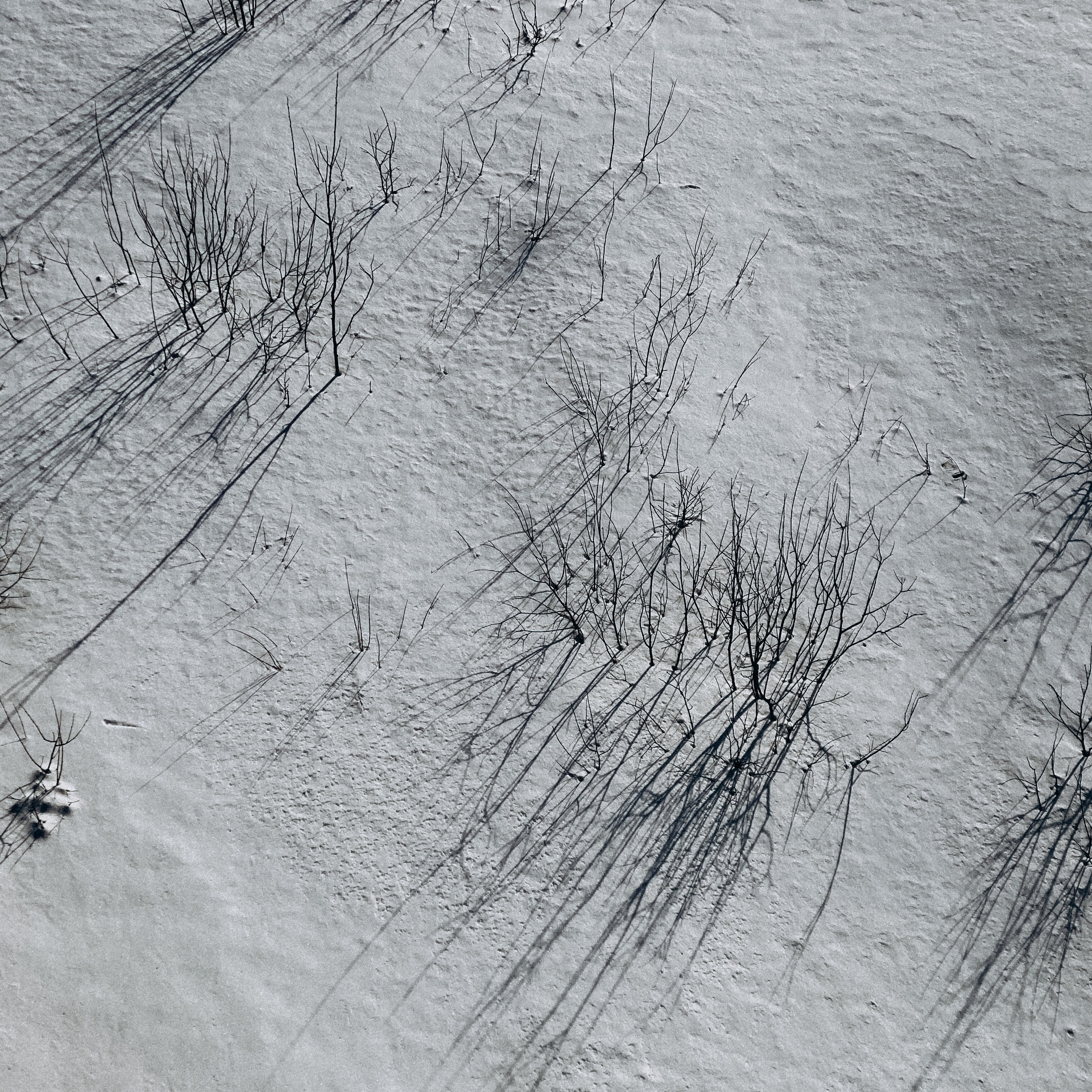 «ЗАМЕЧАЙ». Фотограф Наталья Могилевская Мурманск Териберка Сейдозеро Рыбачий