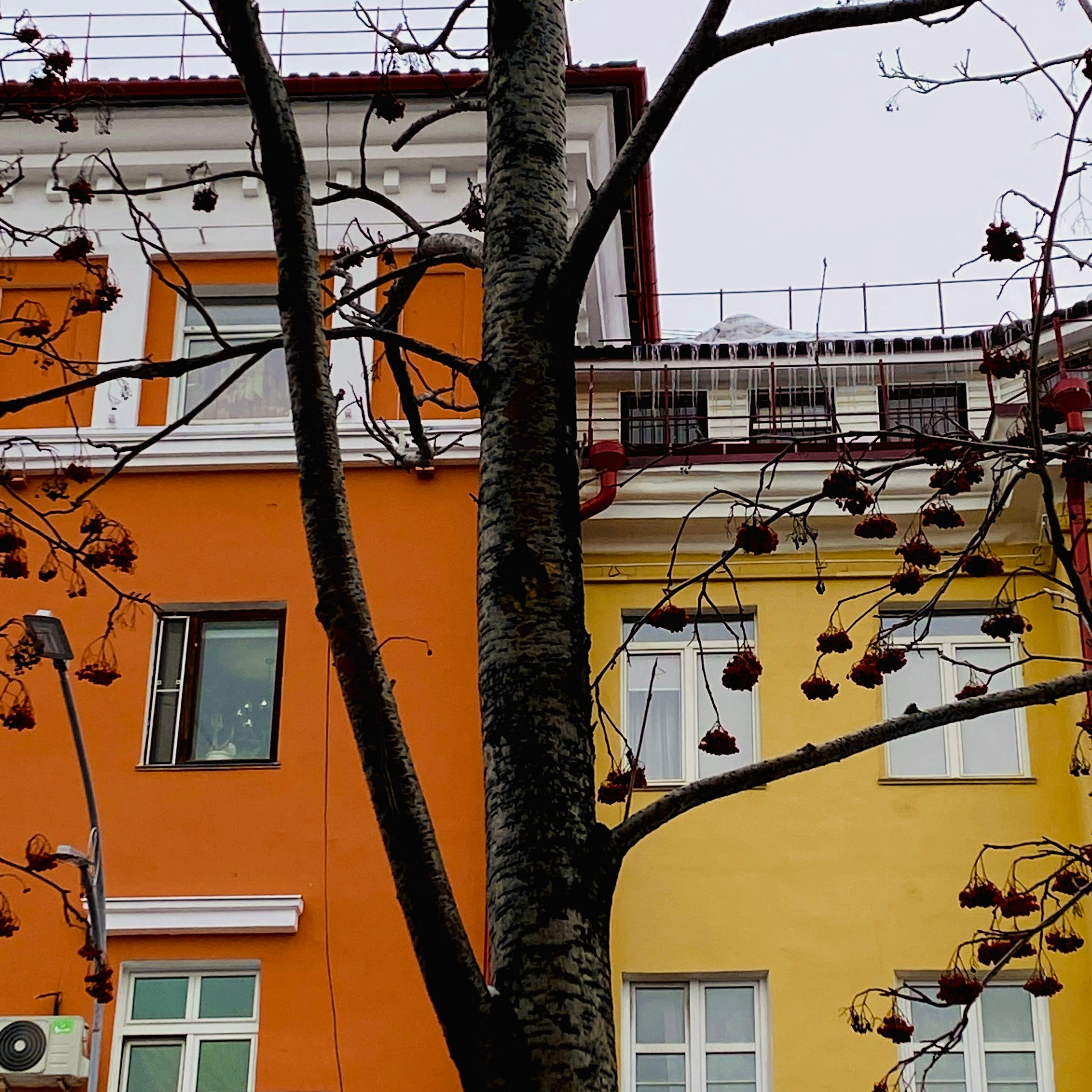 «ЗАМЕЧАЙ». Фотограф Наталья Могилевская Мурманск Териберка Сейдозеро Рыбачий