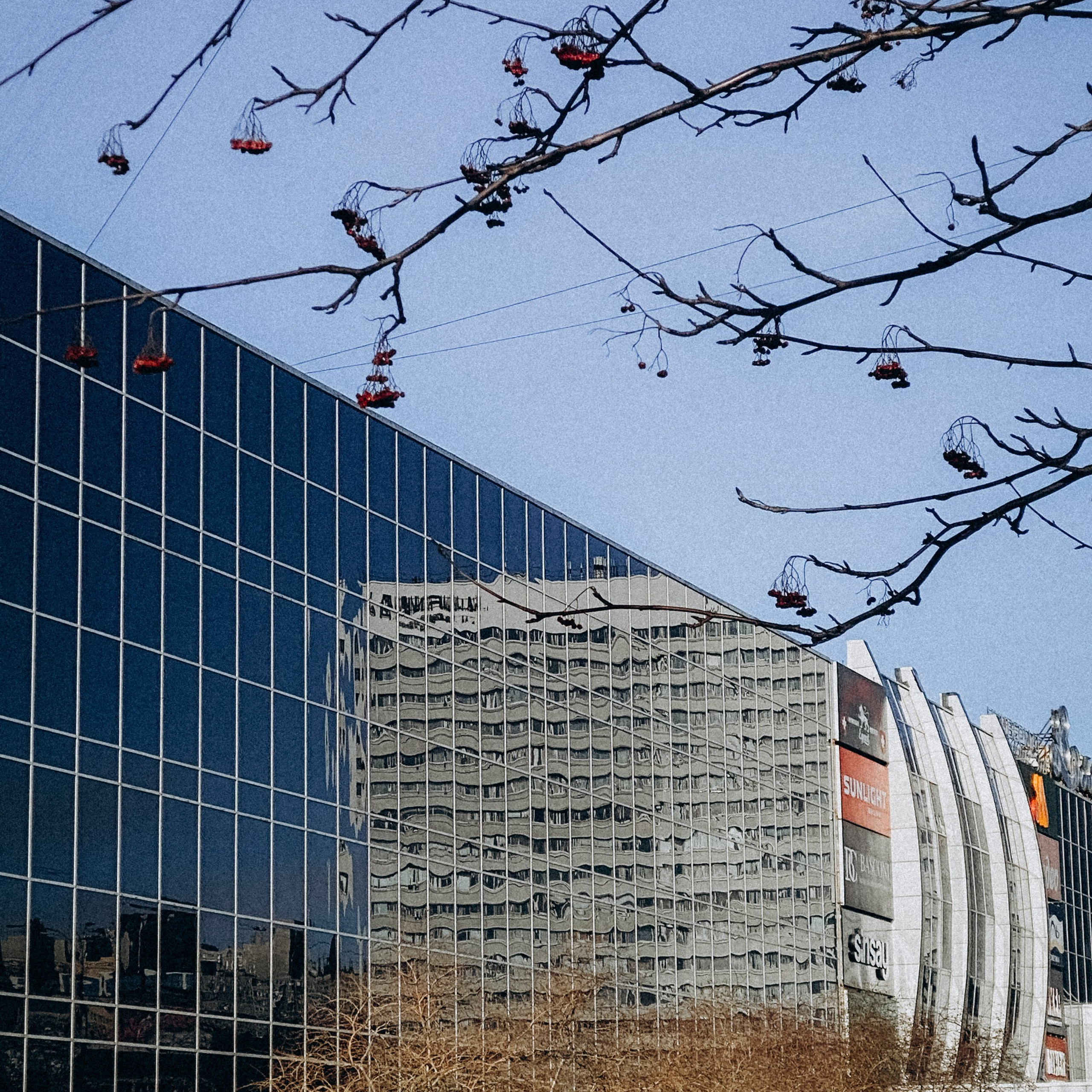 «ЗАМЕЧАЙ». Фотограф Наталья Могилевская Мурманск Териберка Сейдозеро Рыбачий