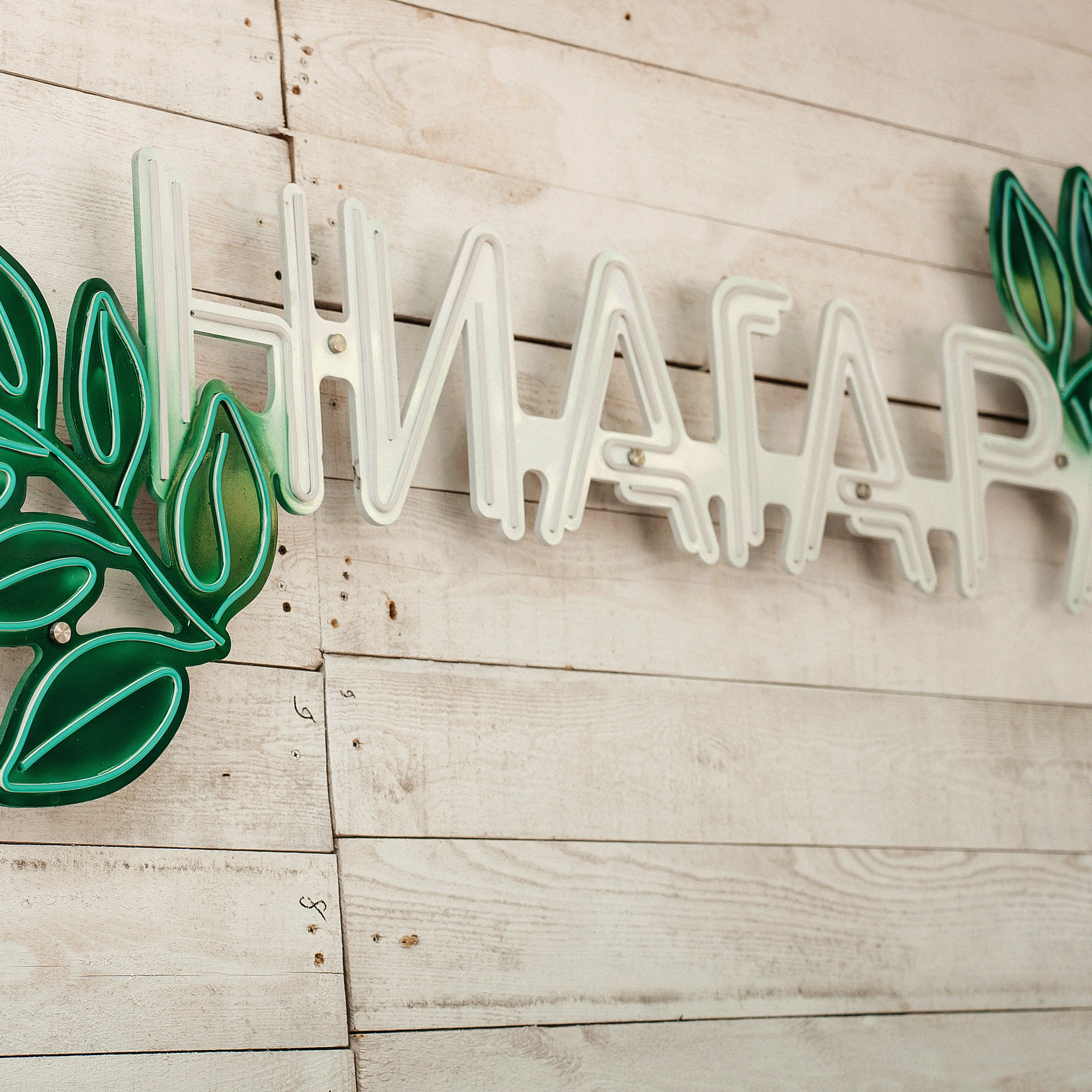 Отзывы. Семейный и портретный фотограф в г. Орск Алишер Азимов