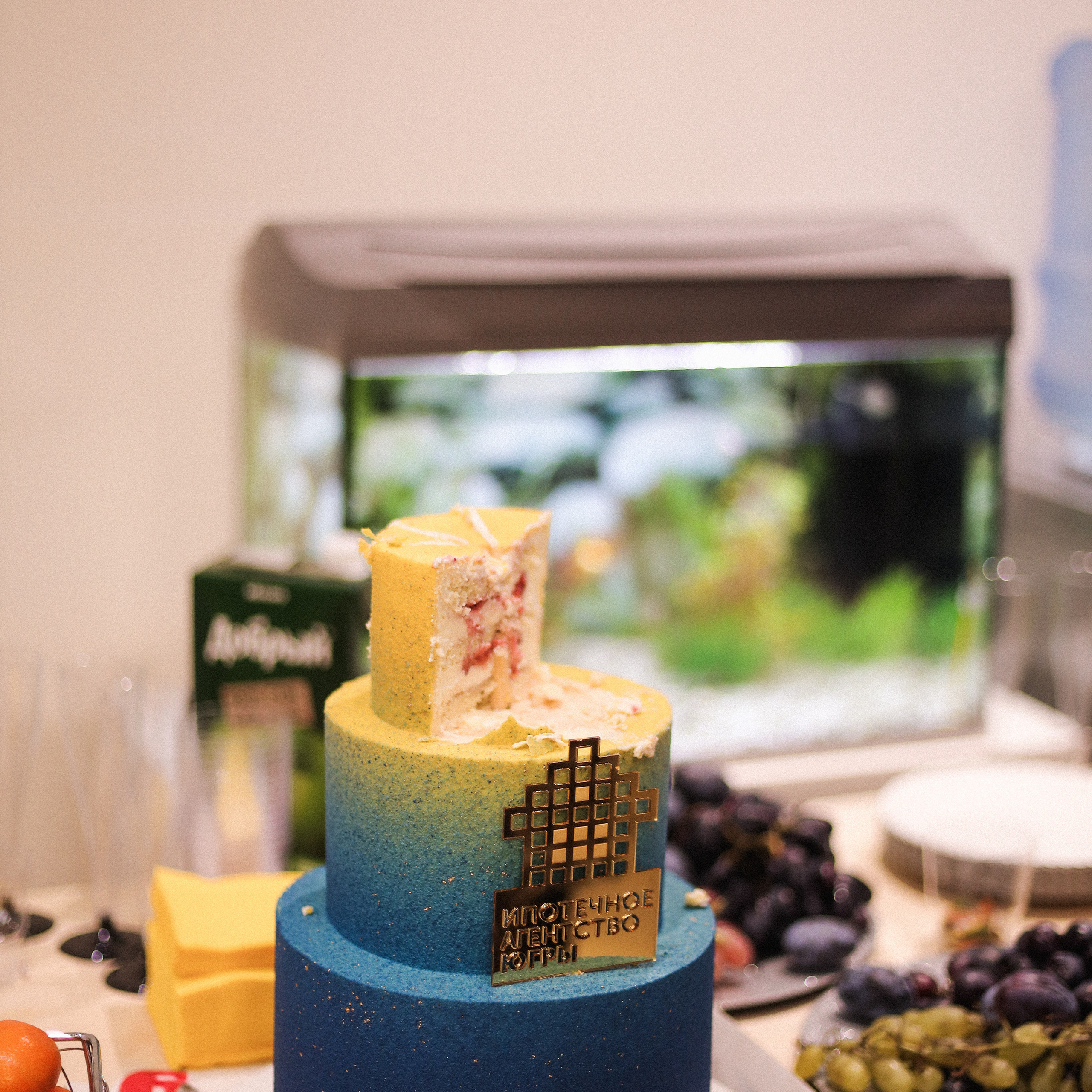 Отзывы. Семейный фотограф в Тюмени | Алёна Снопкова