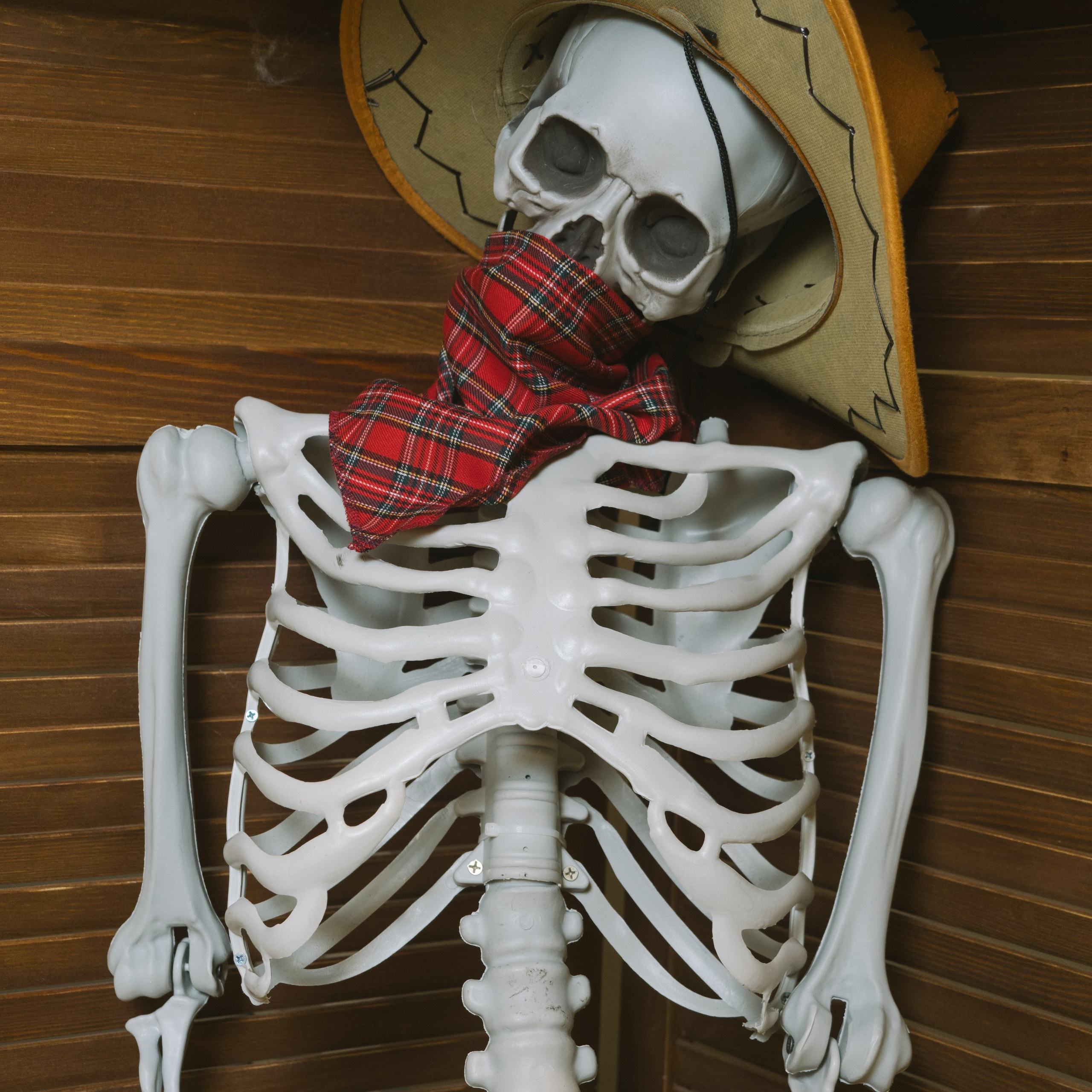 Отзывы. Репортажный фотограф Москва