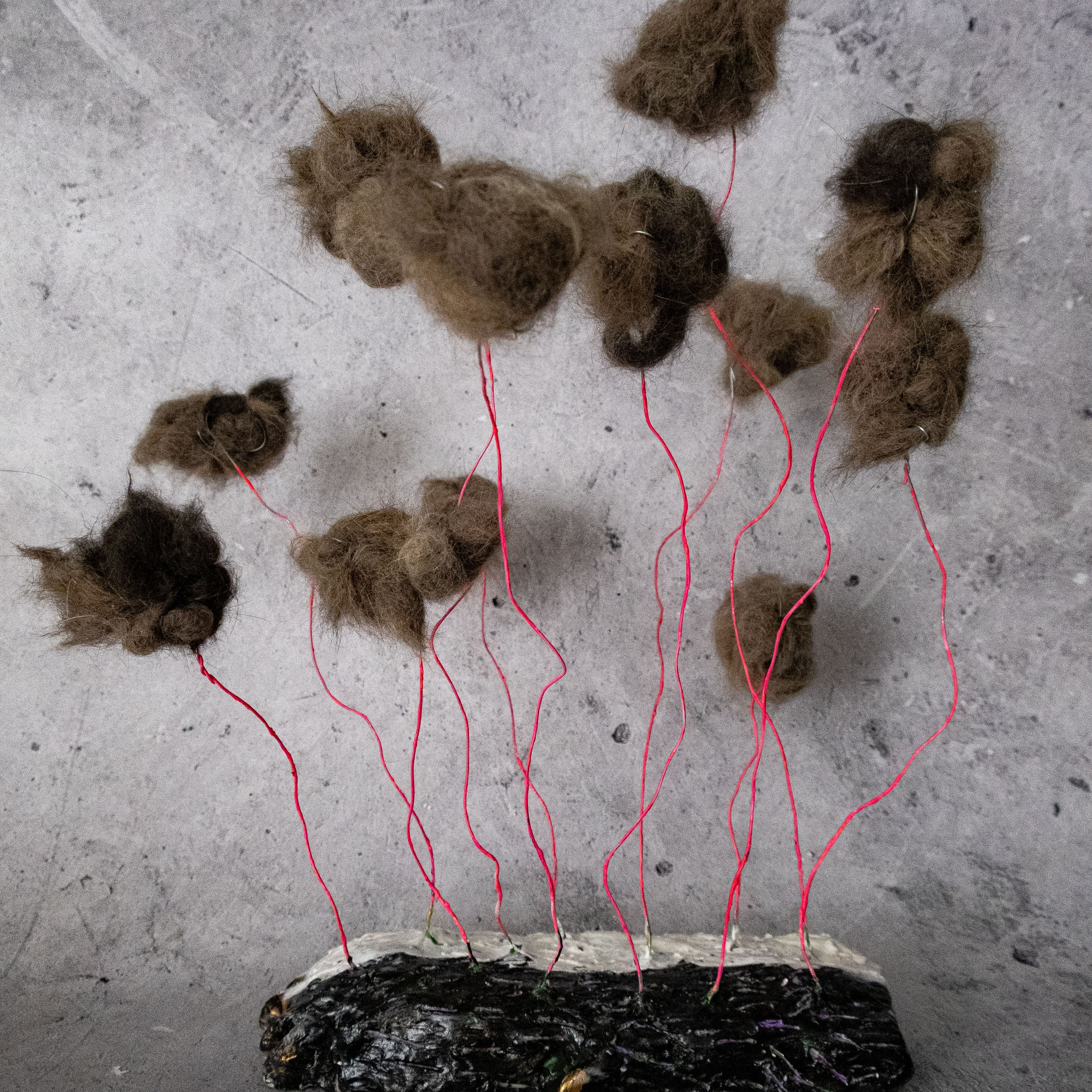 Инсталляция