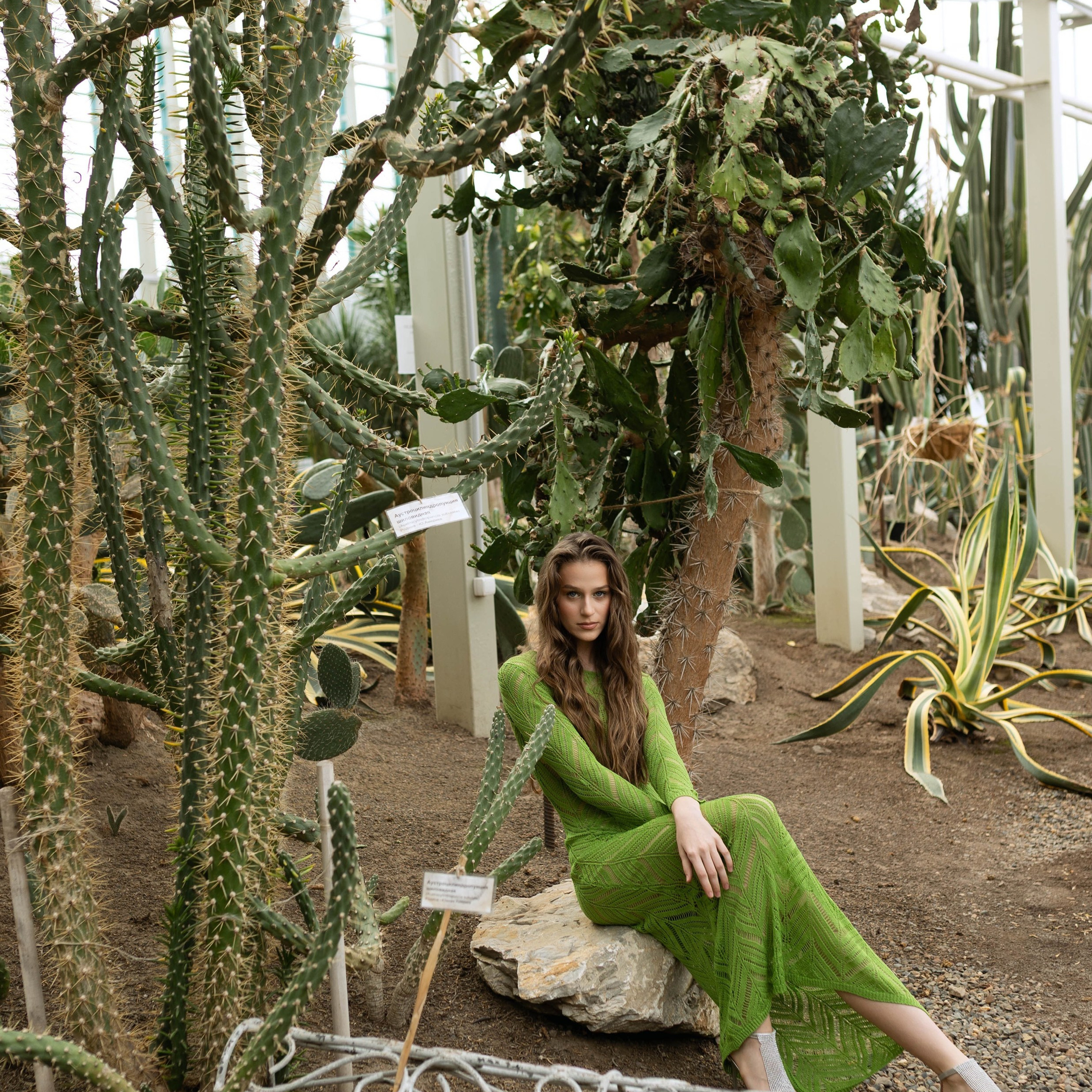 Публикации в журналах. Anika Moc