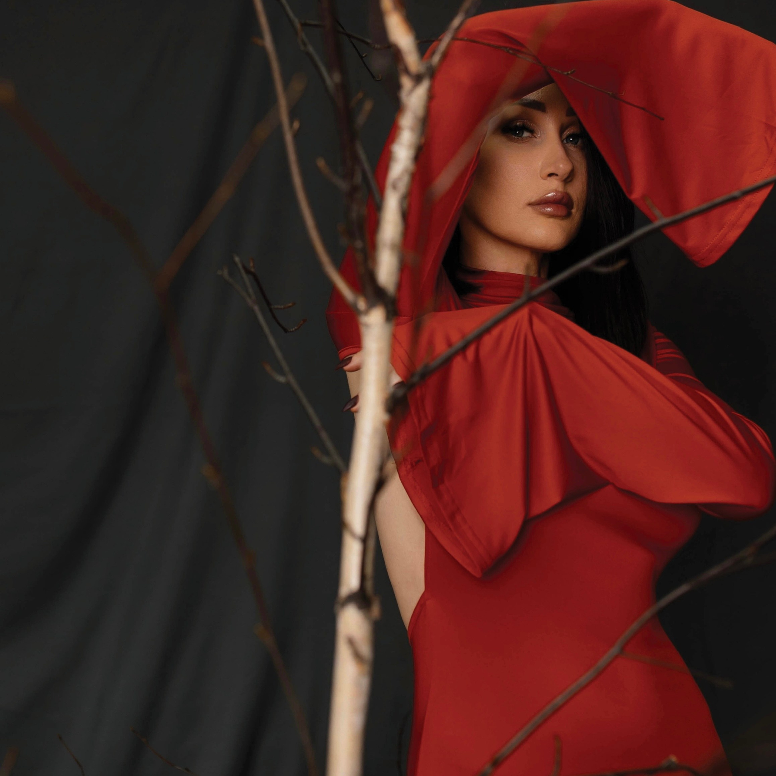 Публикации в журналах. Anika Moc