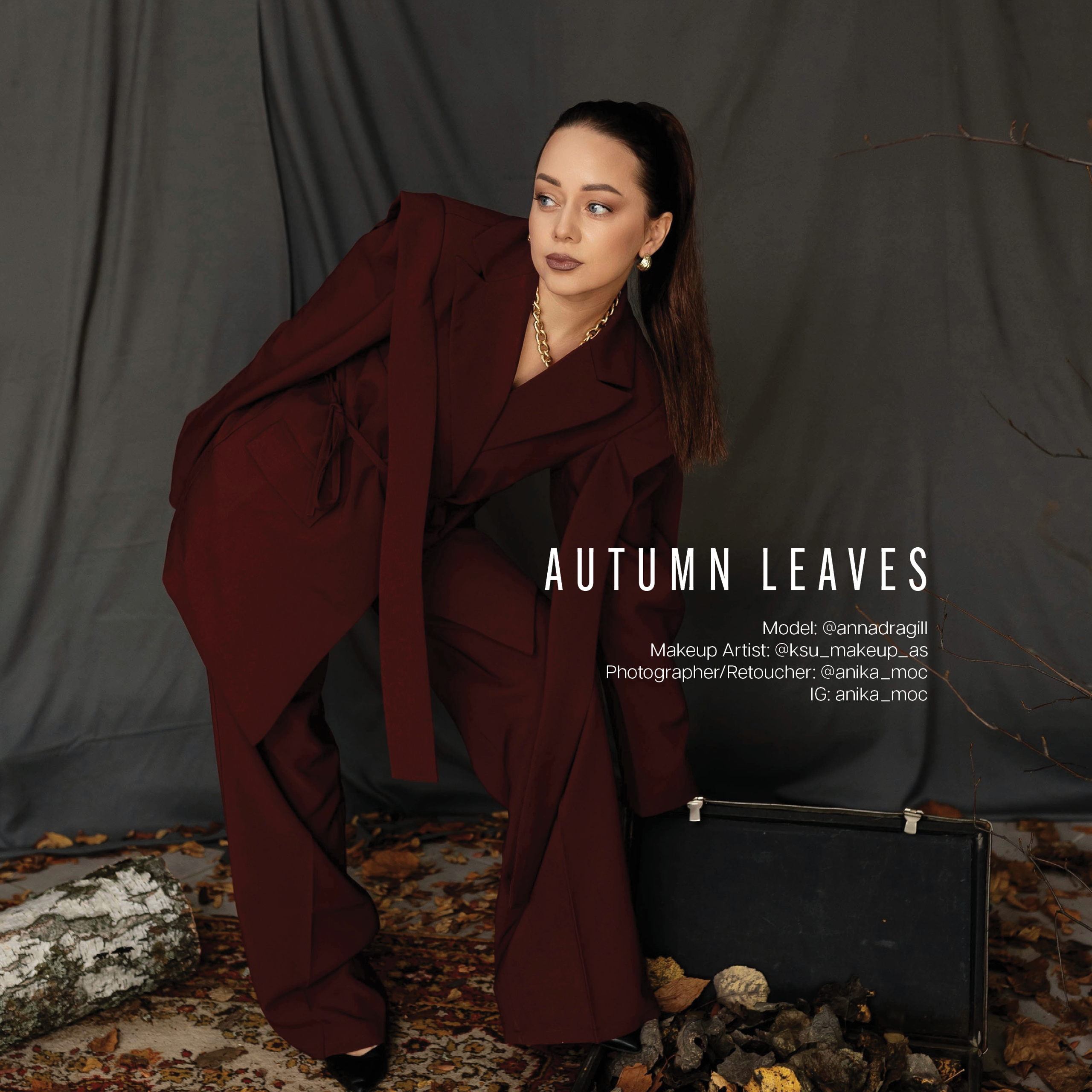 Публикации в журналах. Anika Moc