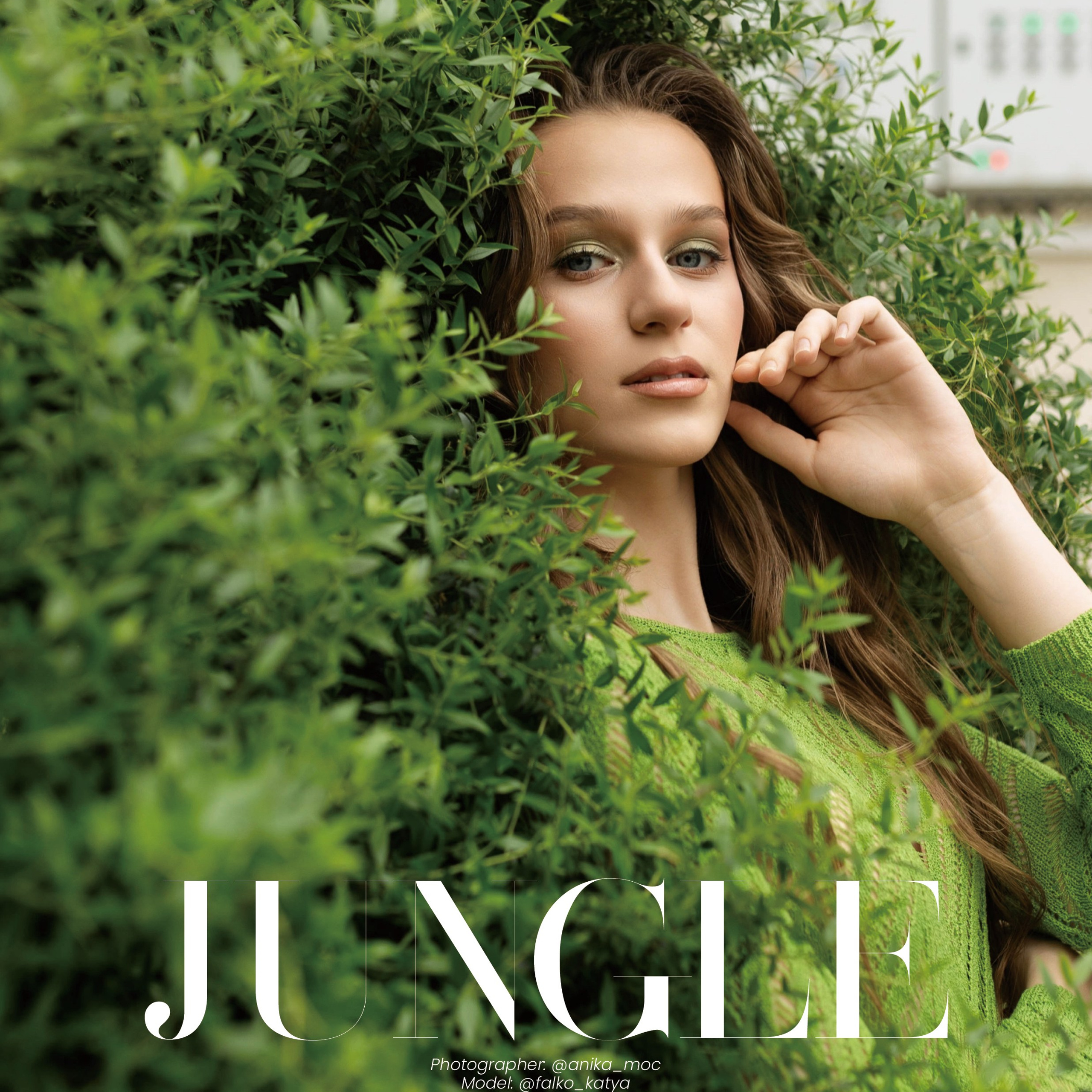 Публикации в журналах. Anika Moc