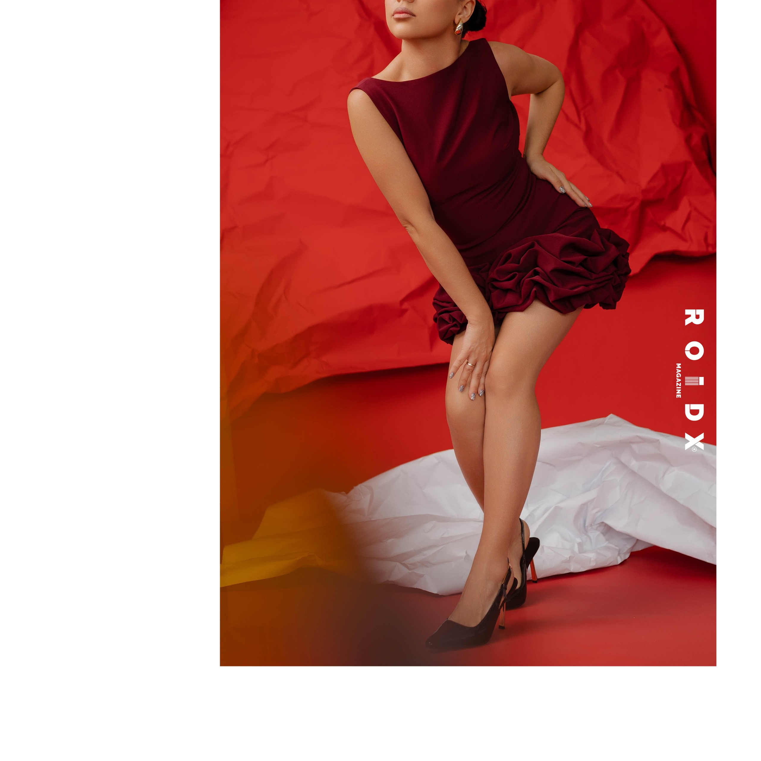 Публикации в журналах. Anika Moc