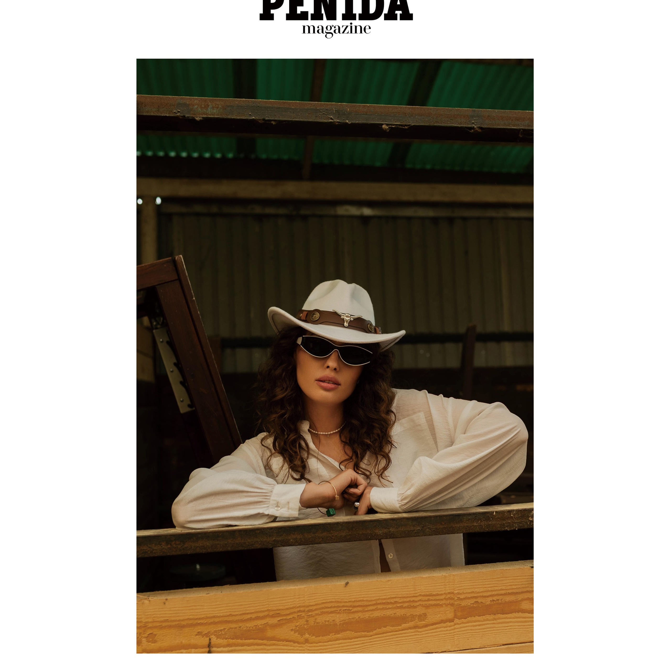 Публикации в журналах. Anika Moc