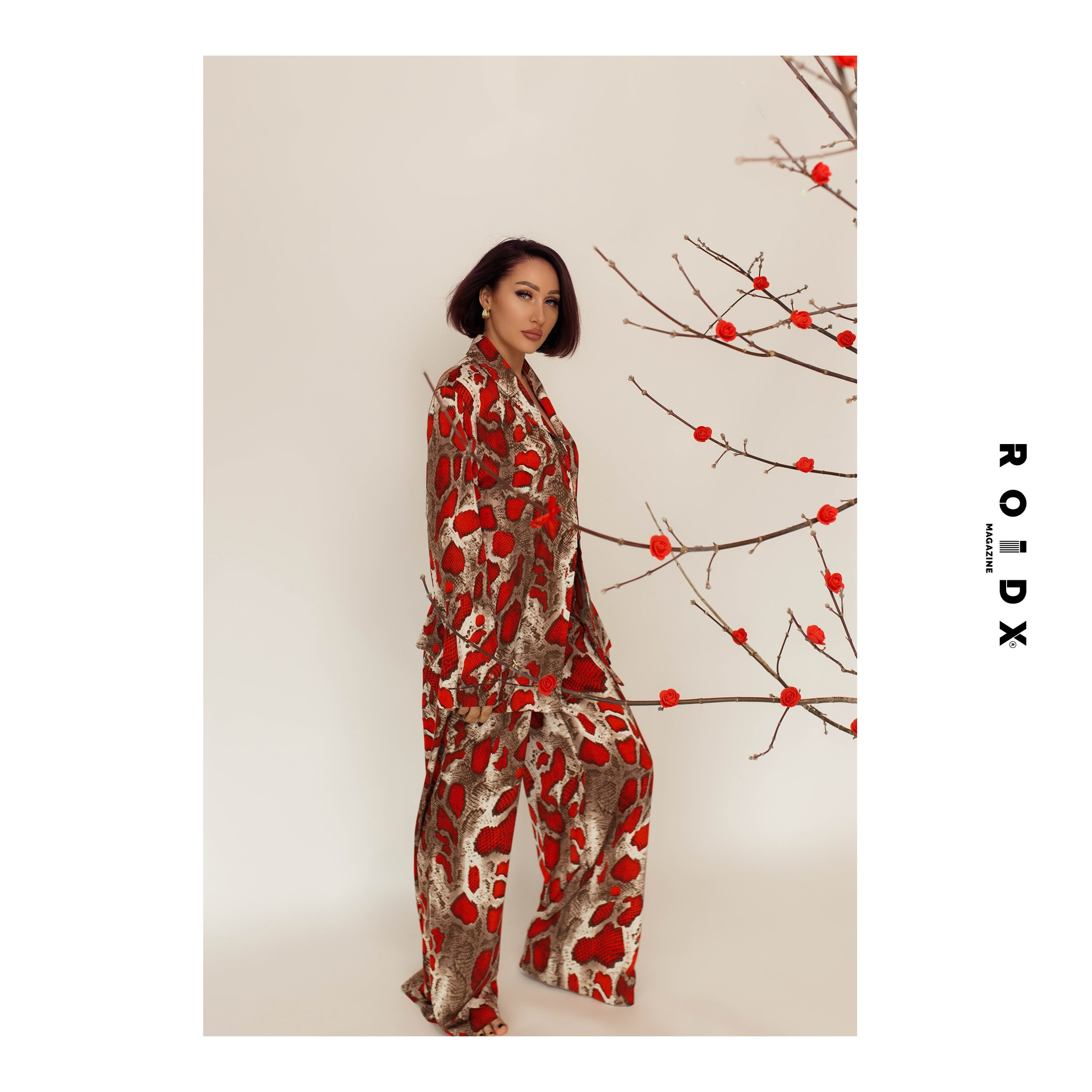 Публикации в журналах. Anika Moc