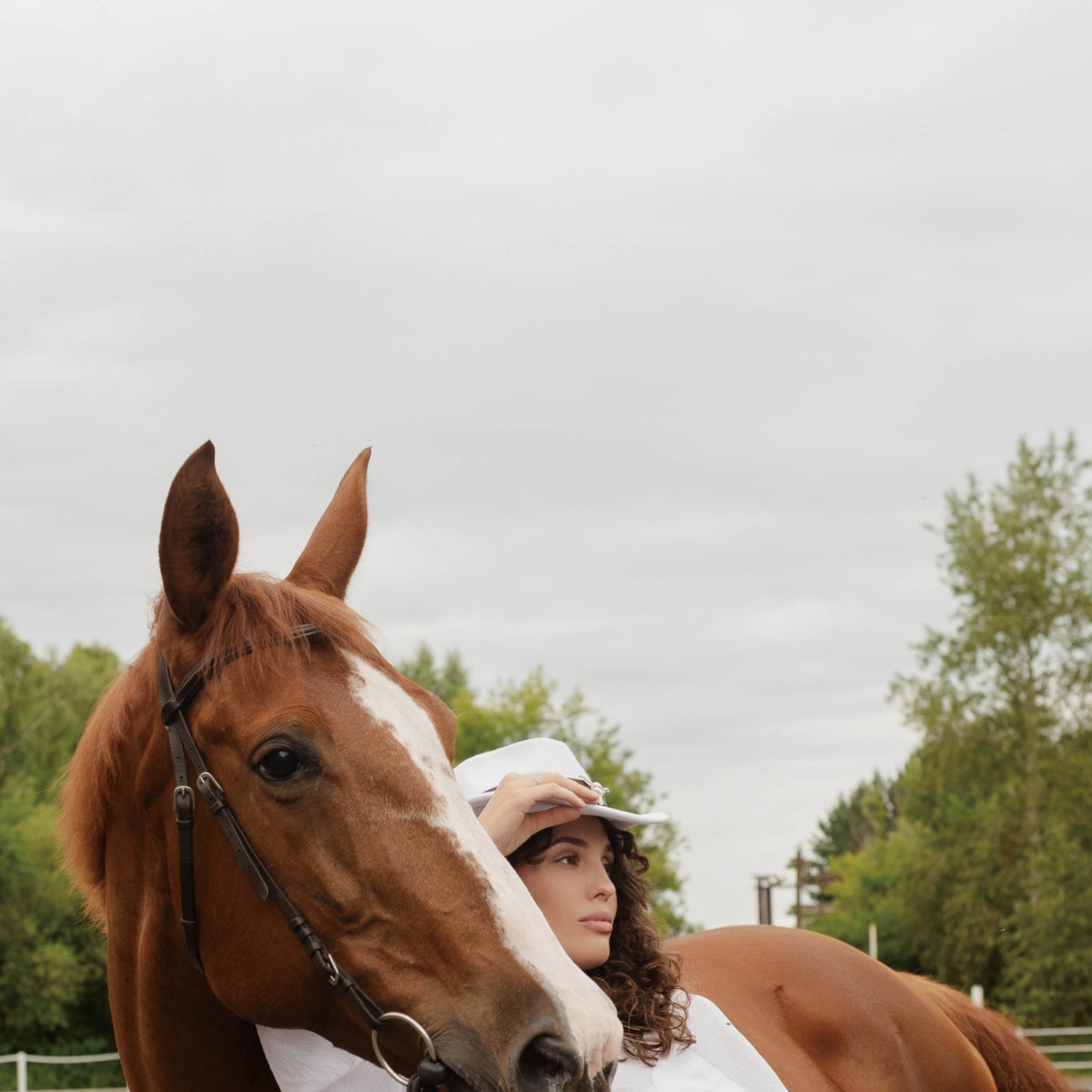 Публикации в журналах. Anika Moc