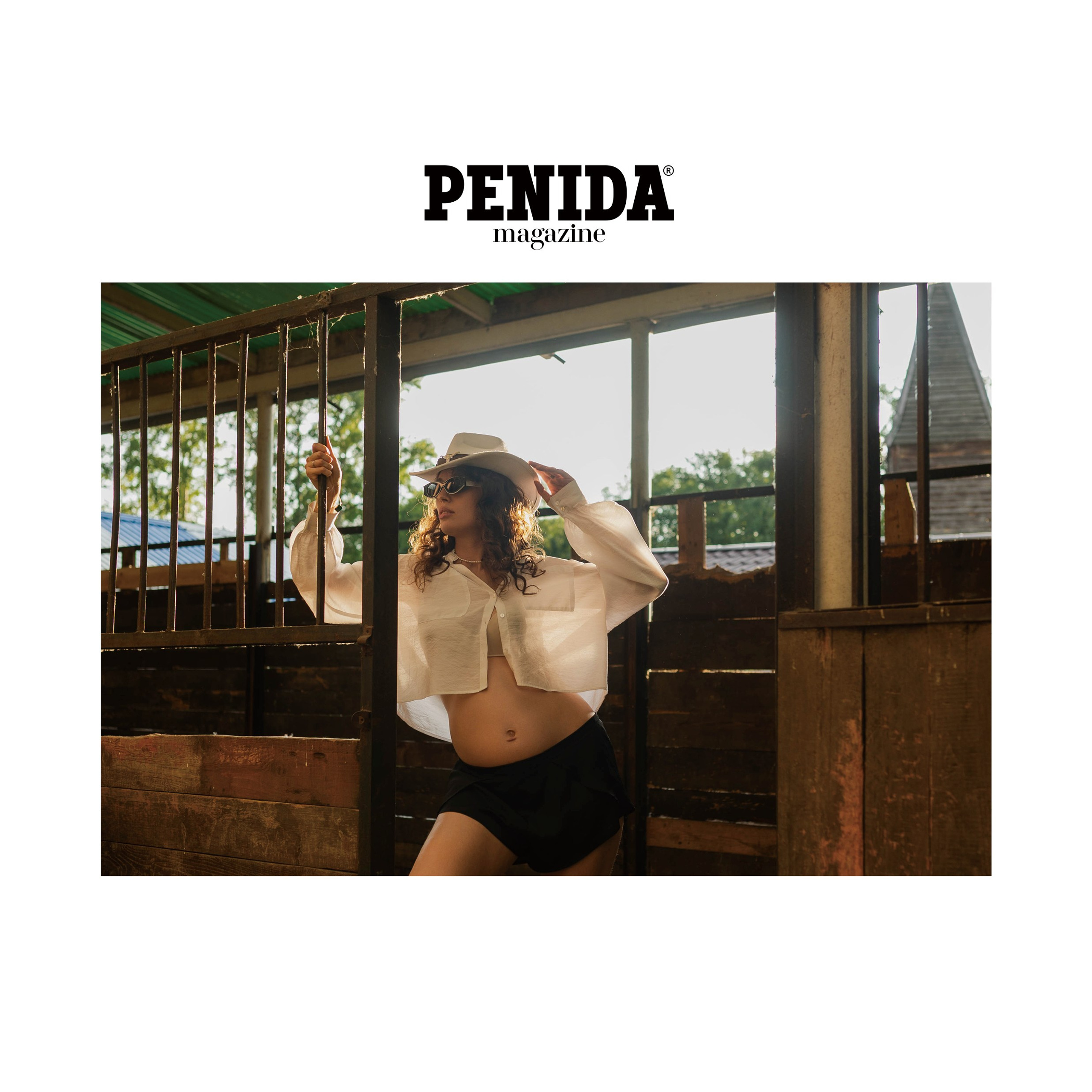 Публикации в журналах. Anika Moc