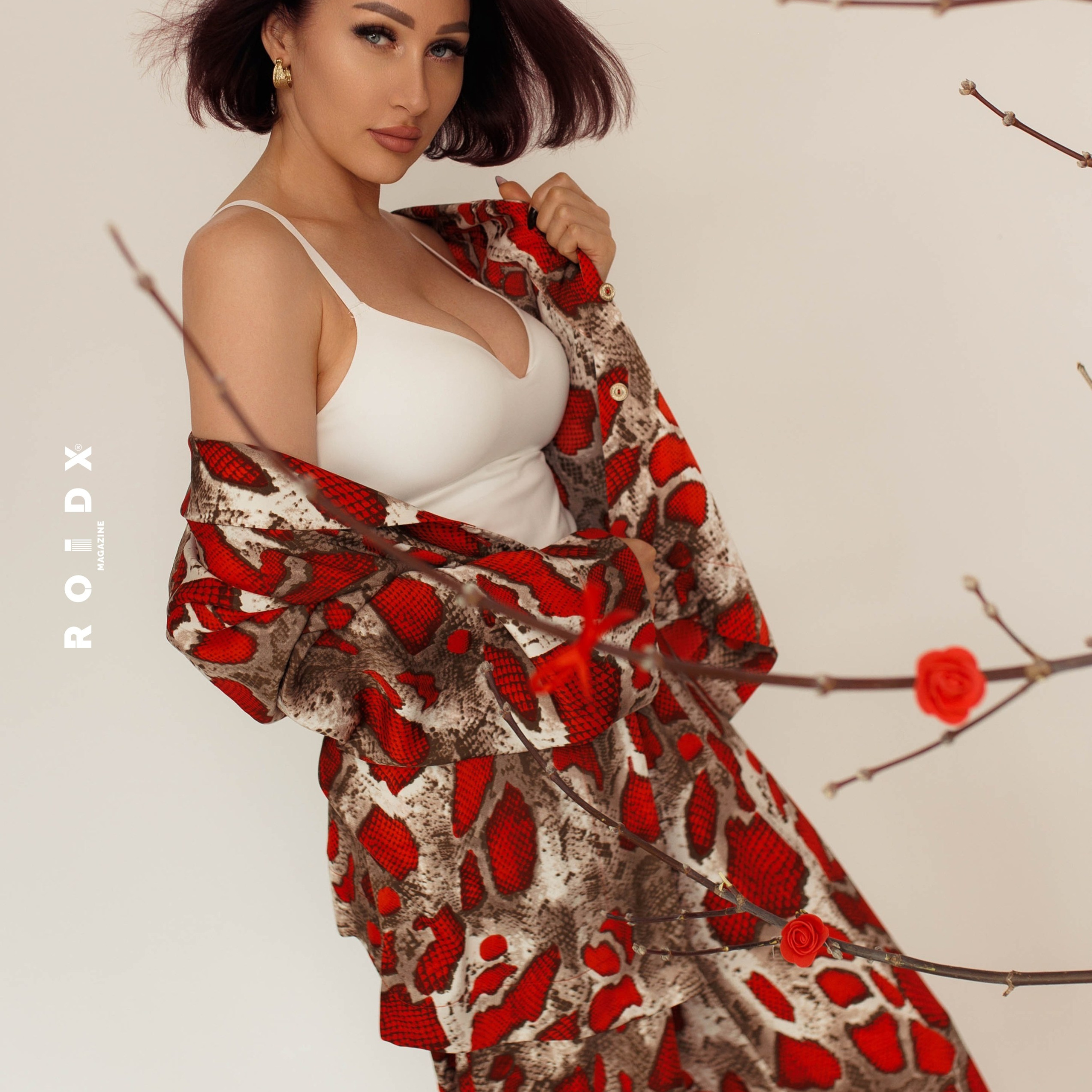 Публикации в журналах. Anika Moc