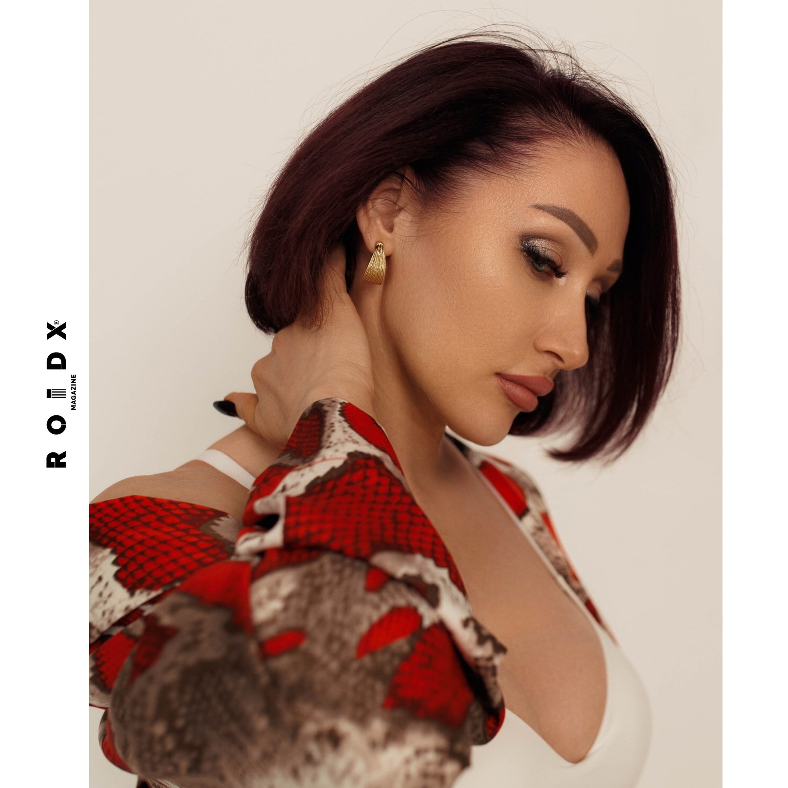 Публикации в журналах. Anika Moc