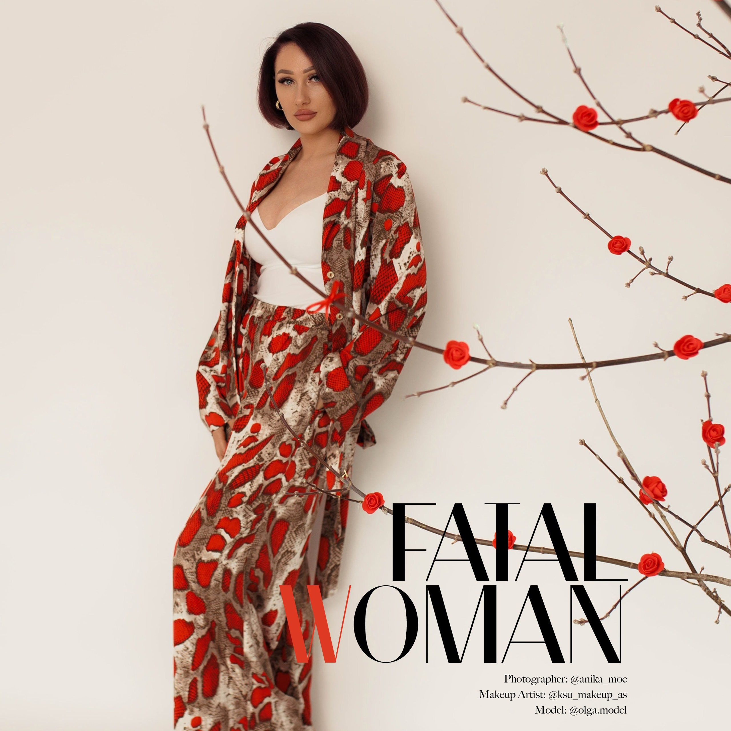 Публикации в журналах. Anika Moc