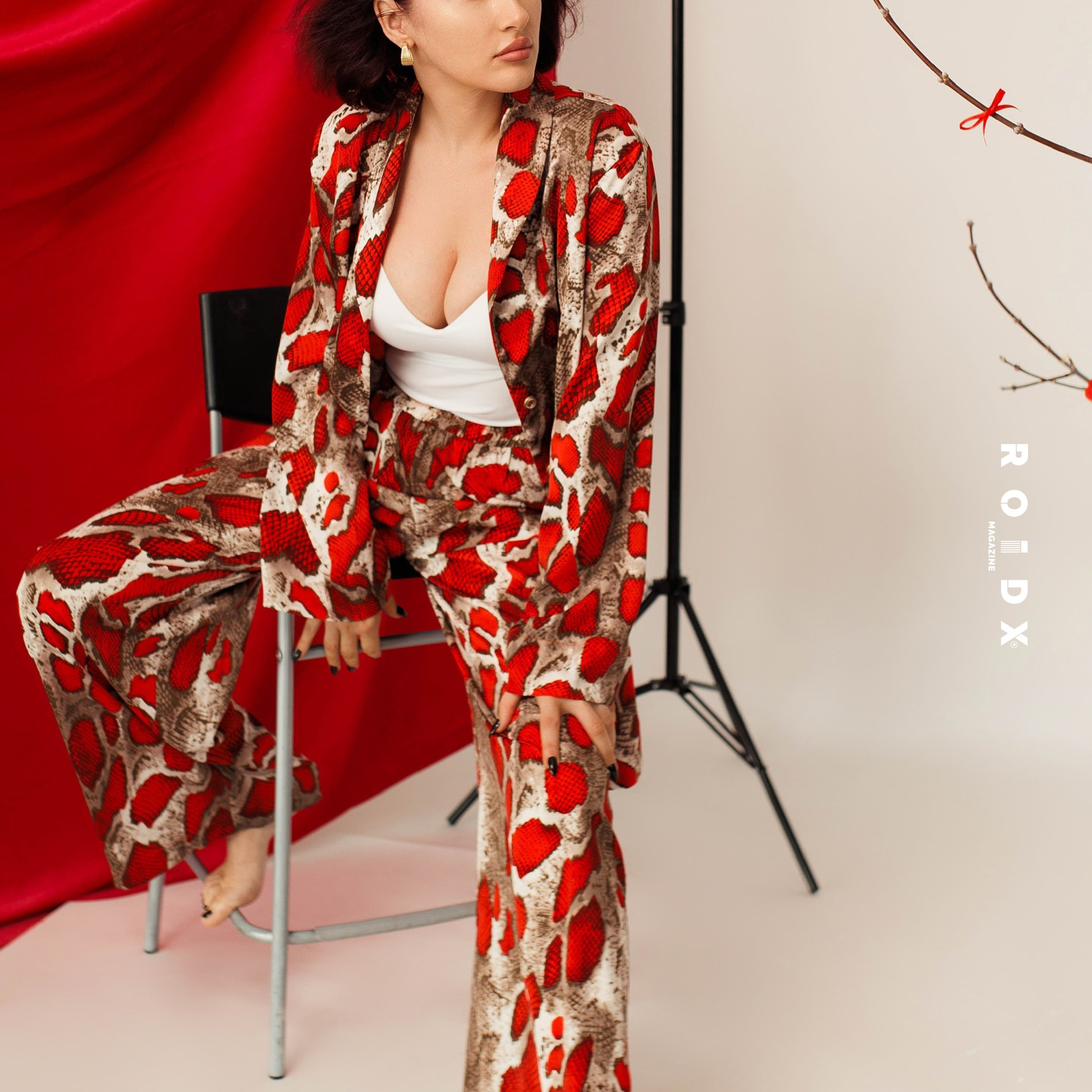 Публикации в журналах. Anika Moc