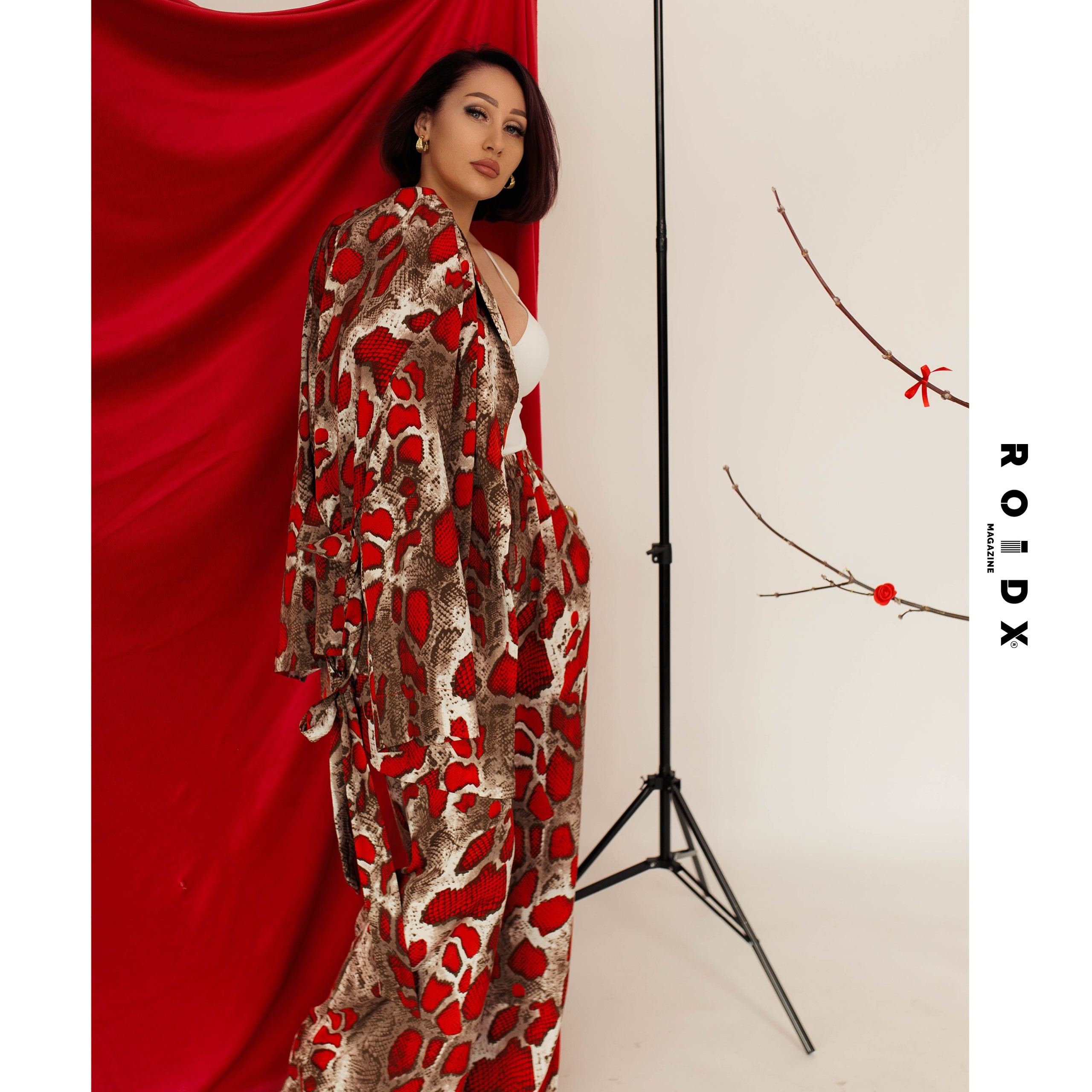 Публикации в журналах. Anika Moc