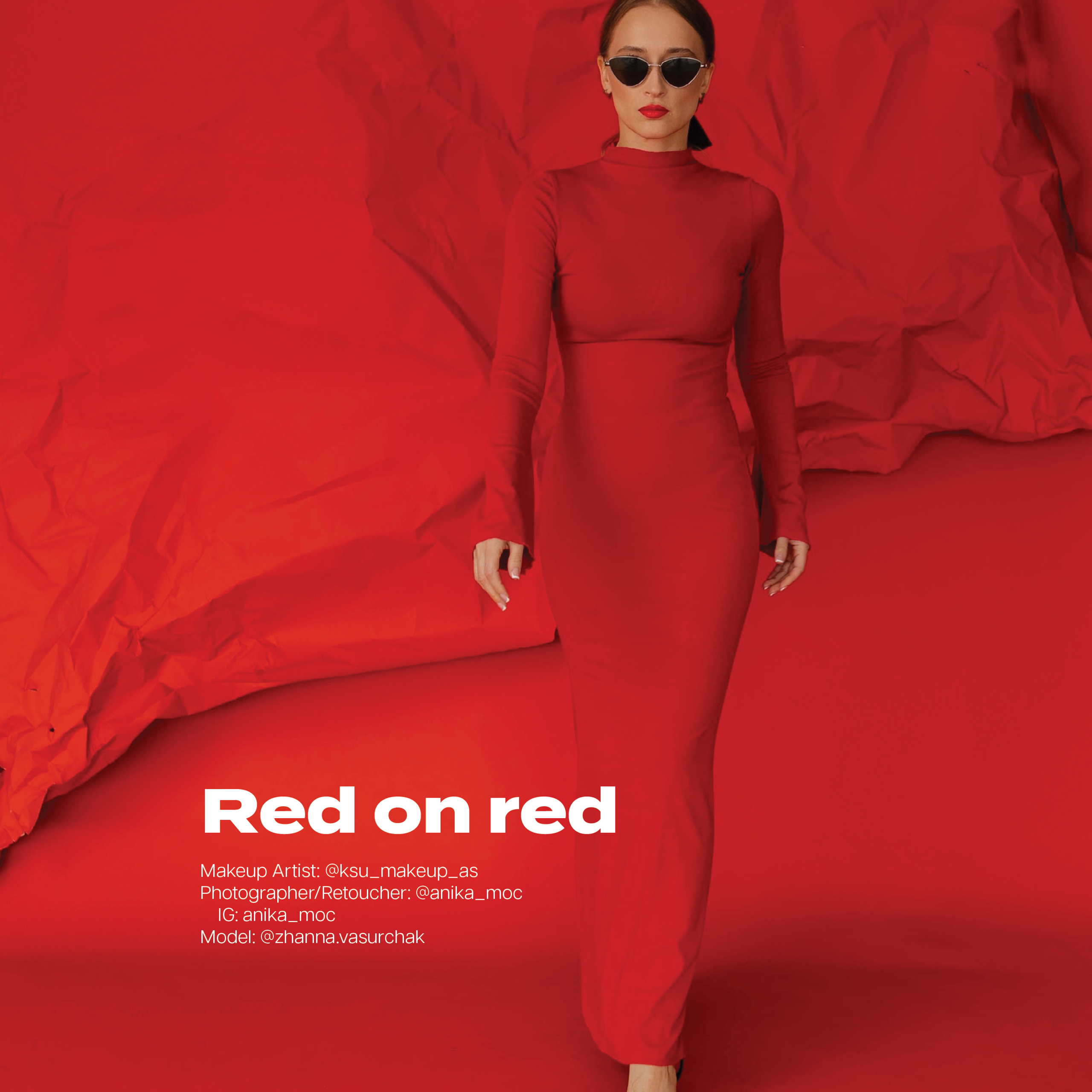 Публикации в журналах. Anika Moc