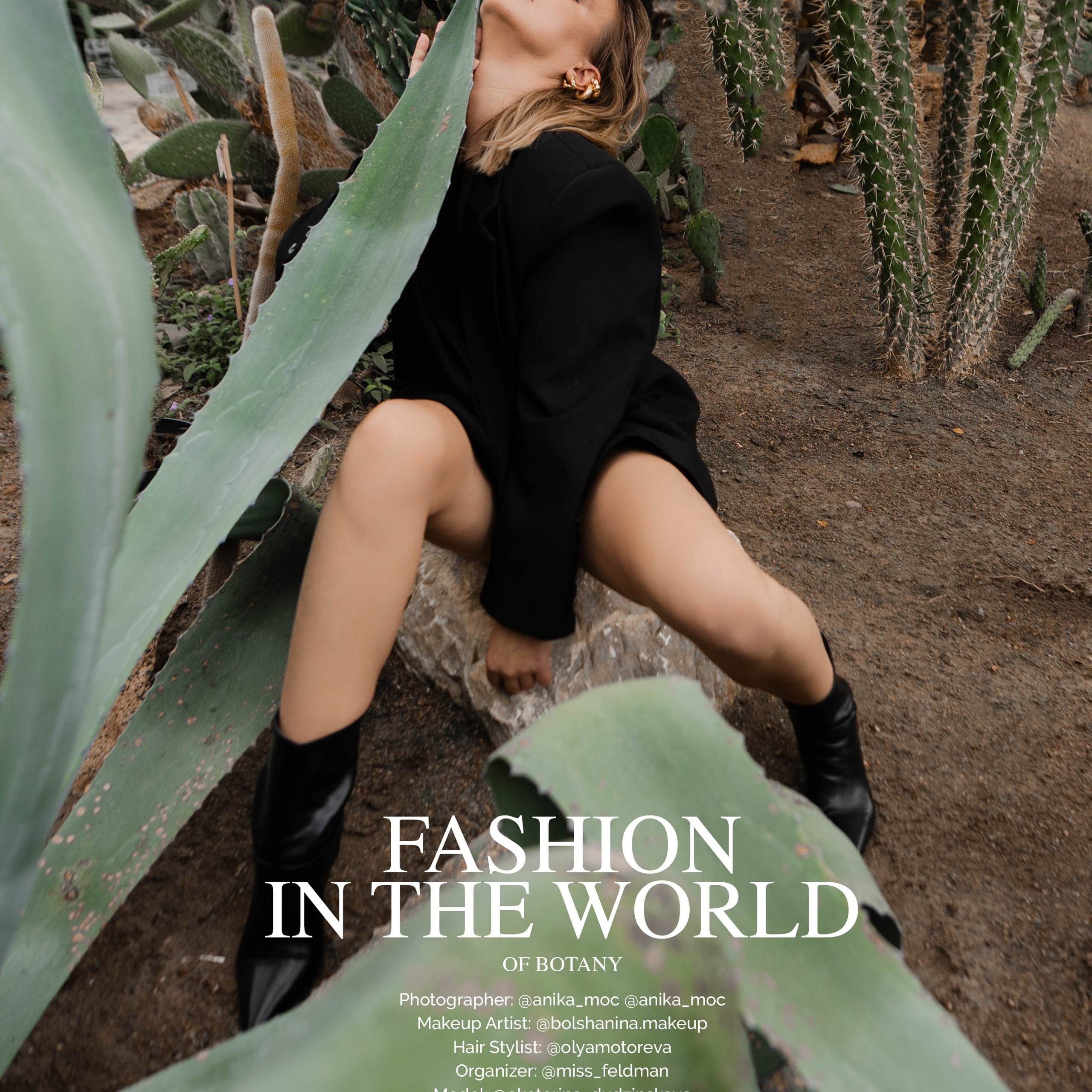 Публикации в журналах. Anika Moc