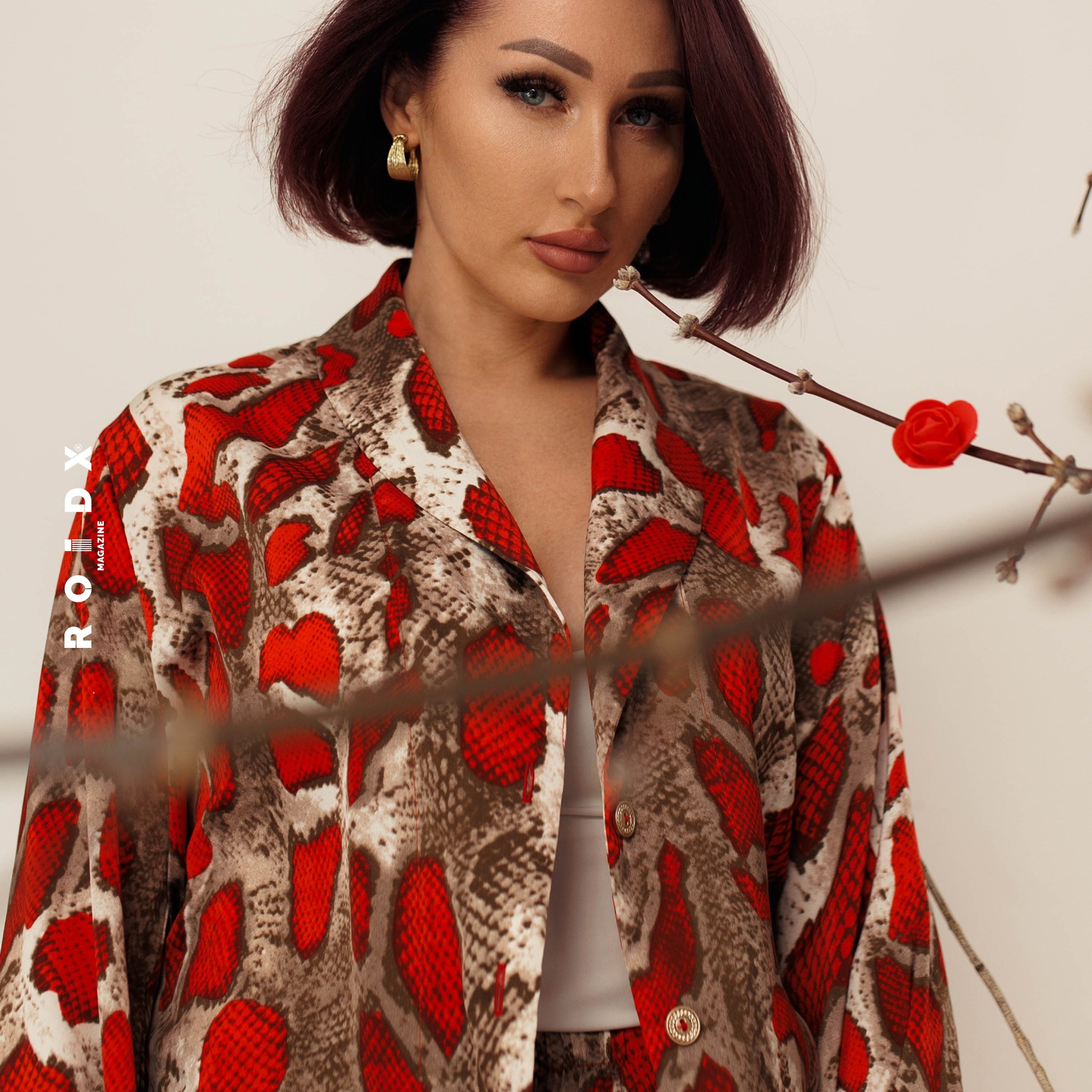 Публикации в журналах. Anika Moc