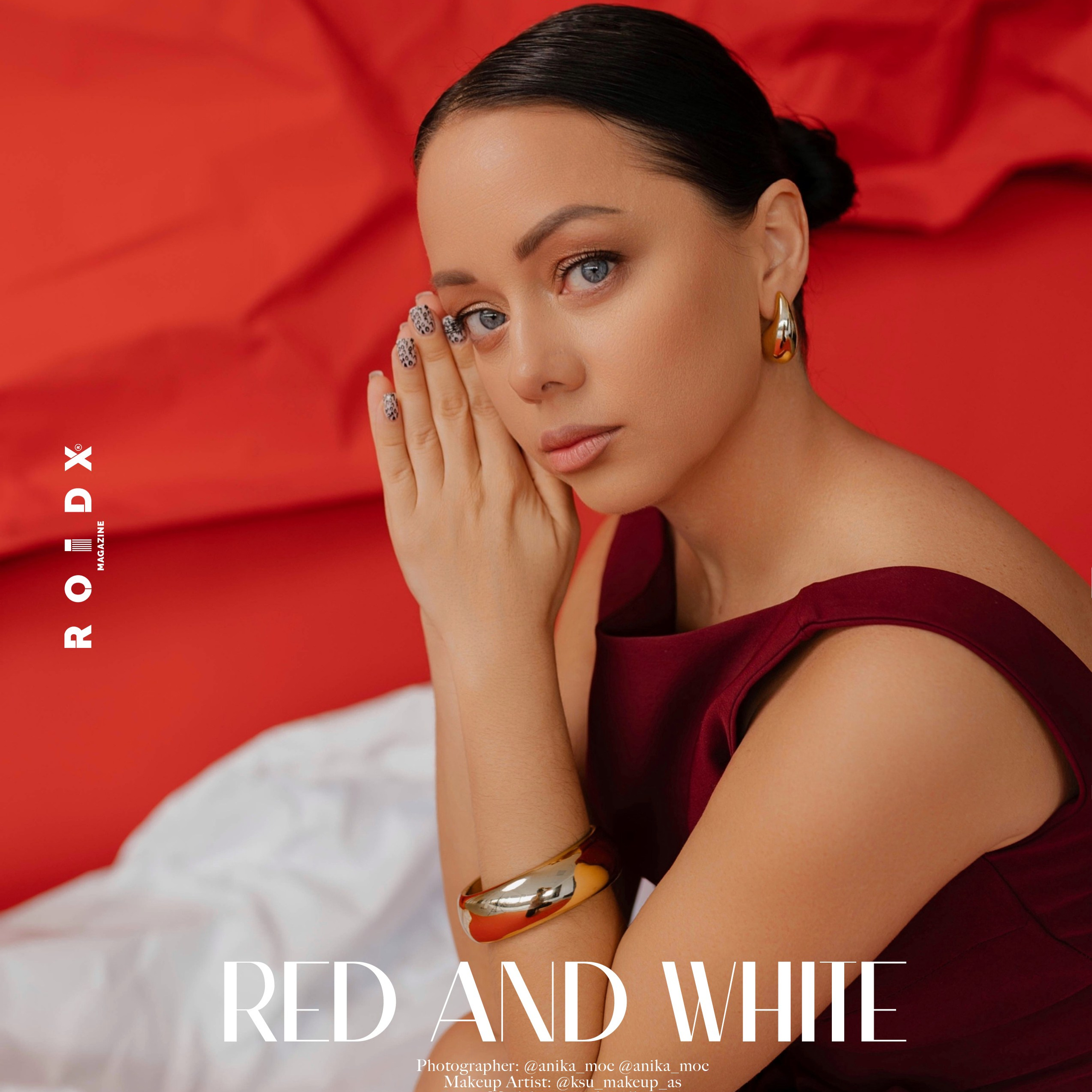 Публикации в журналах. Anika Moc