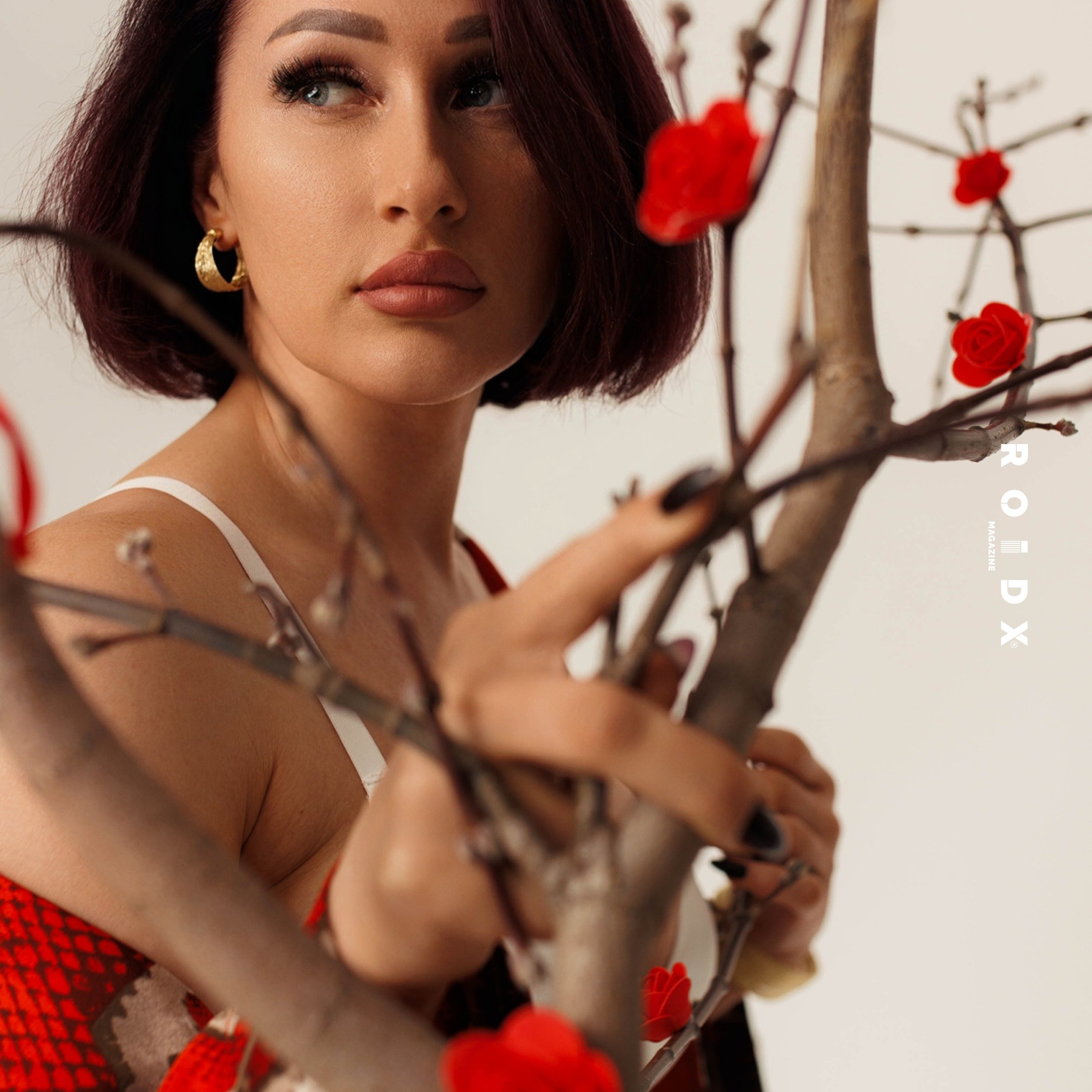 Публикации в журналах. Anika Moc