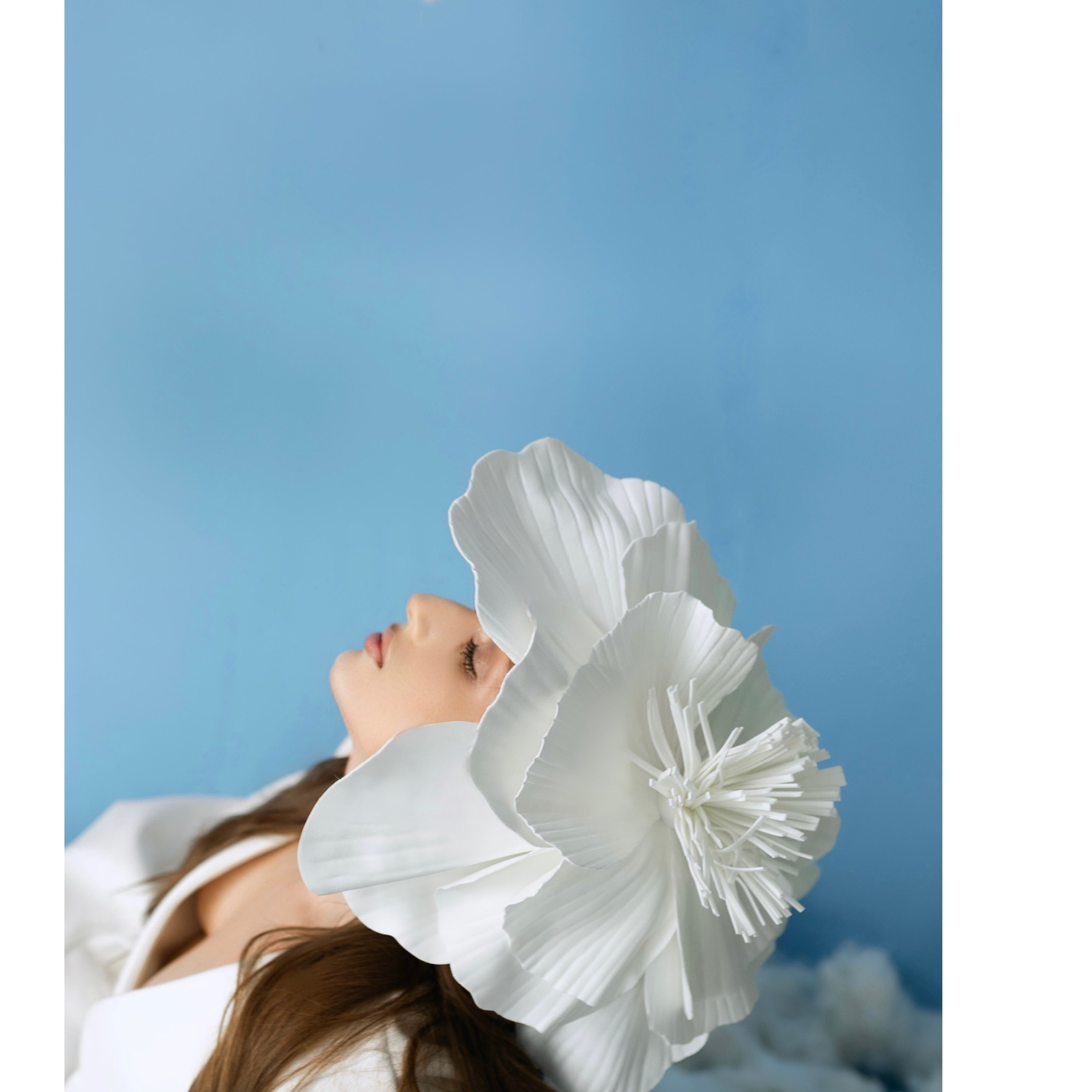 Публикации в журналах. Anika Moc