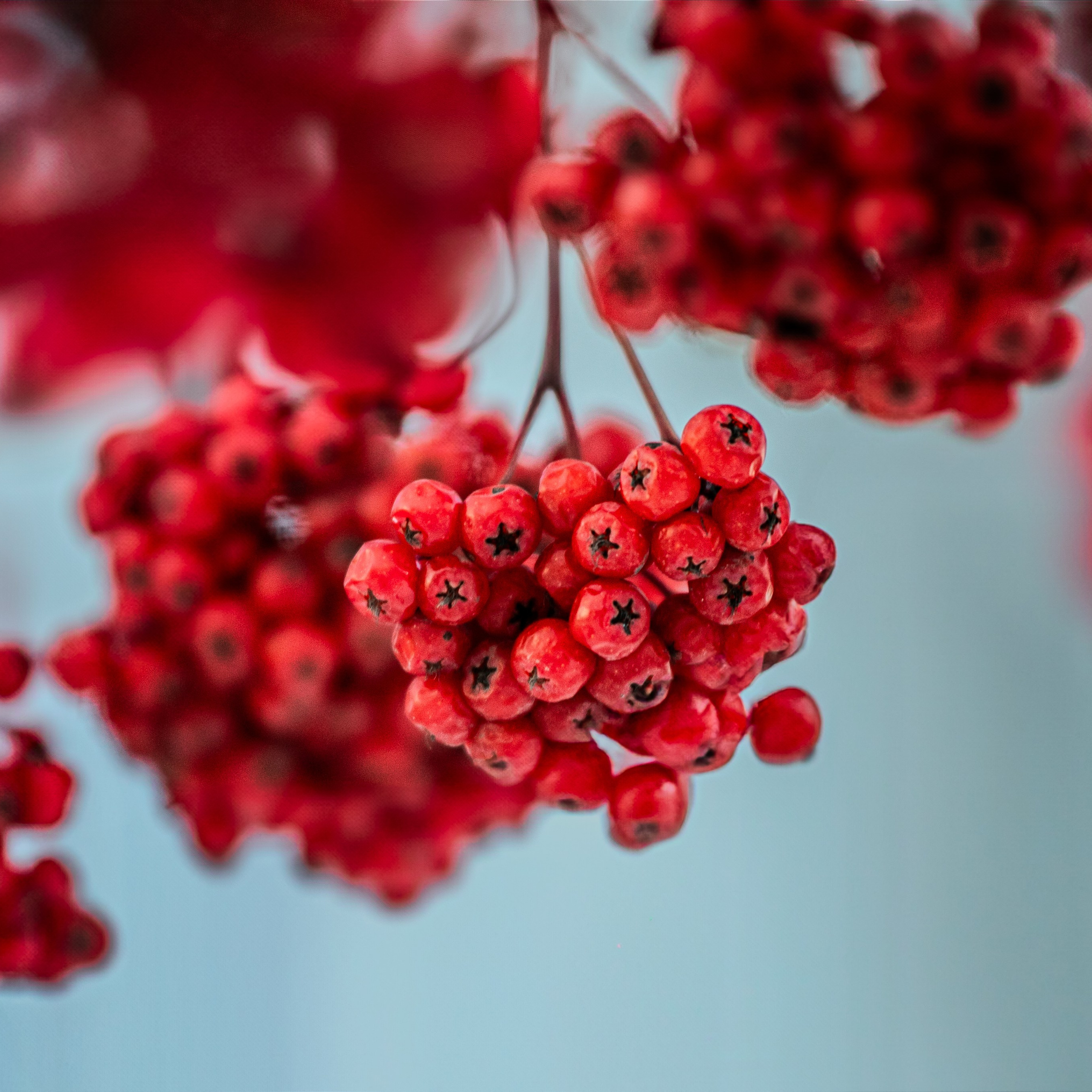 Времена года