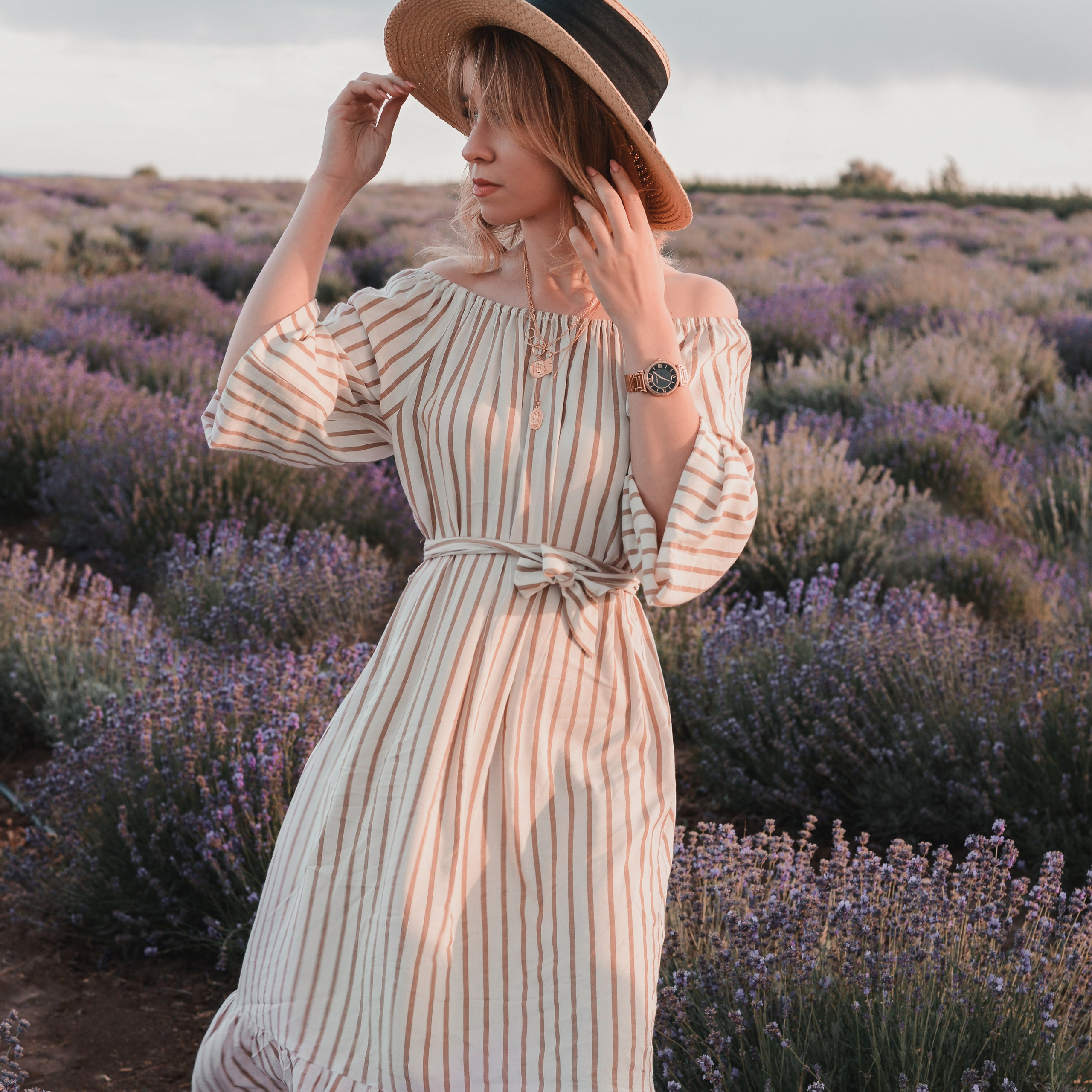 Лавандовое поле