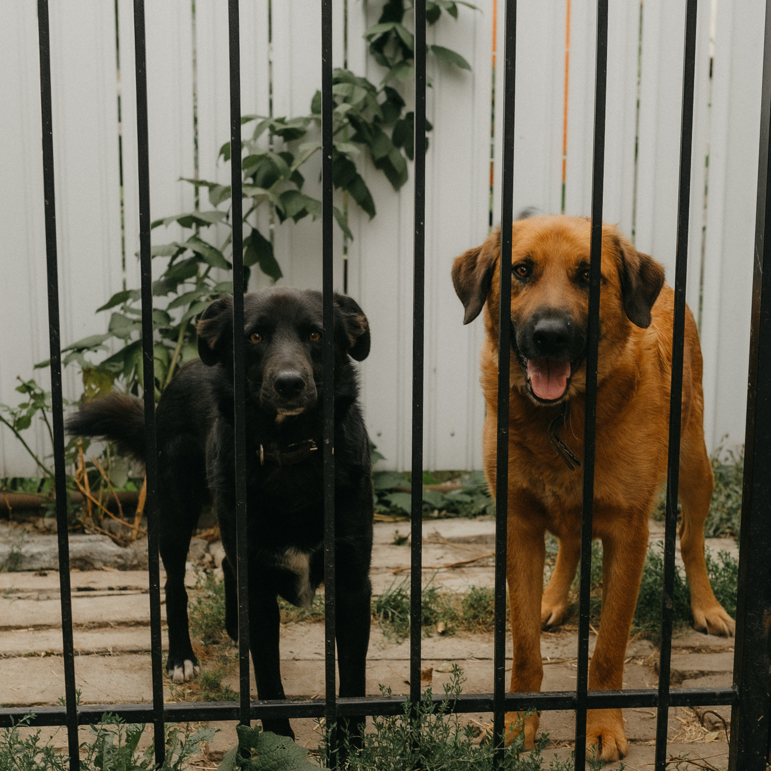 Отзывы. Семейный фотограф в Новомосковске, Туле и Москве Ольга Бубликова