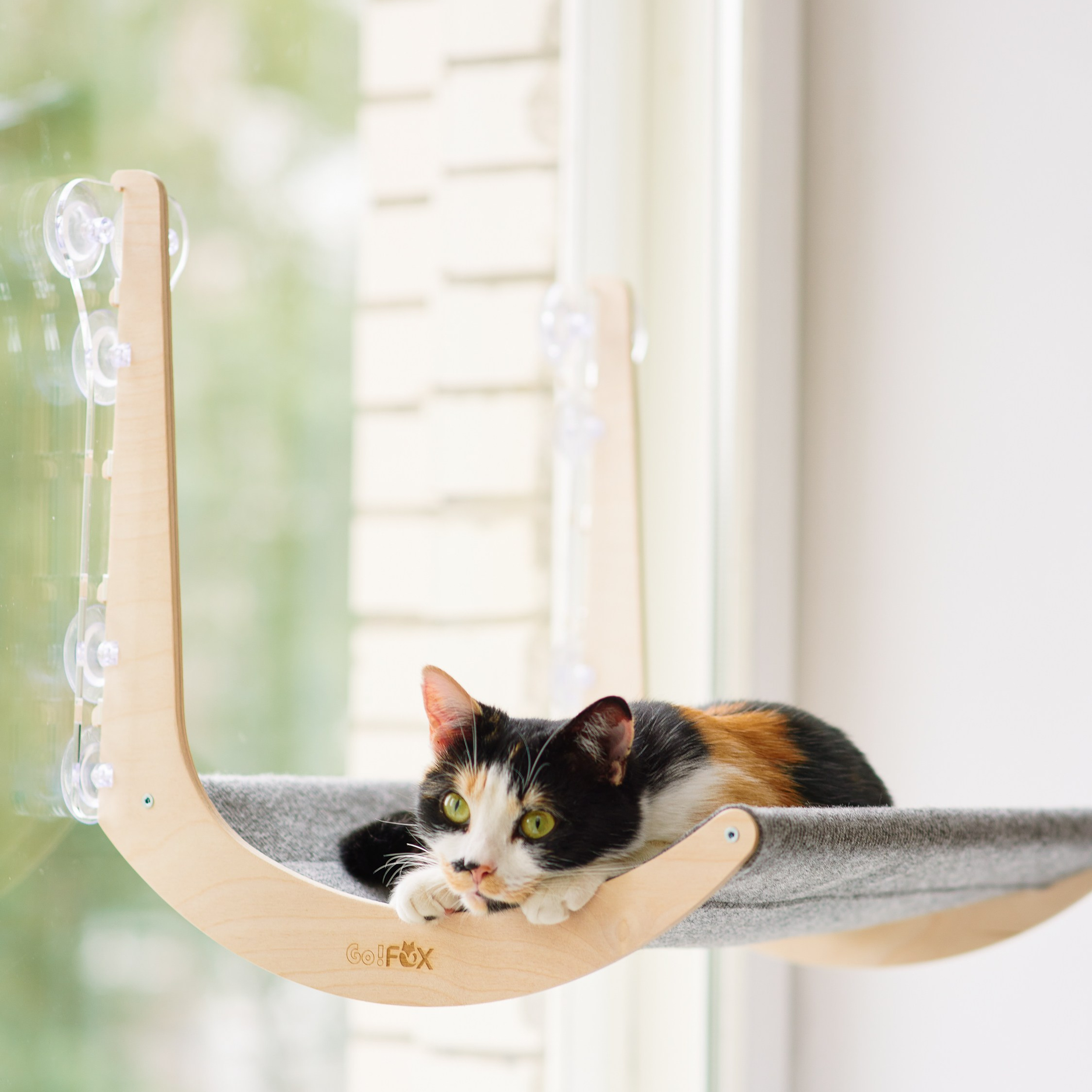 Отзывы. Предметный фотограф, инфографика и видео в Санкт-Петербурге