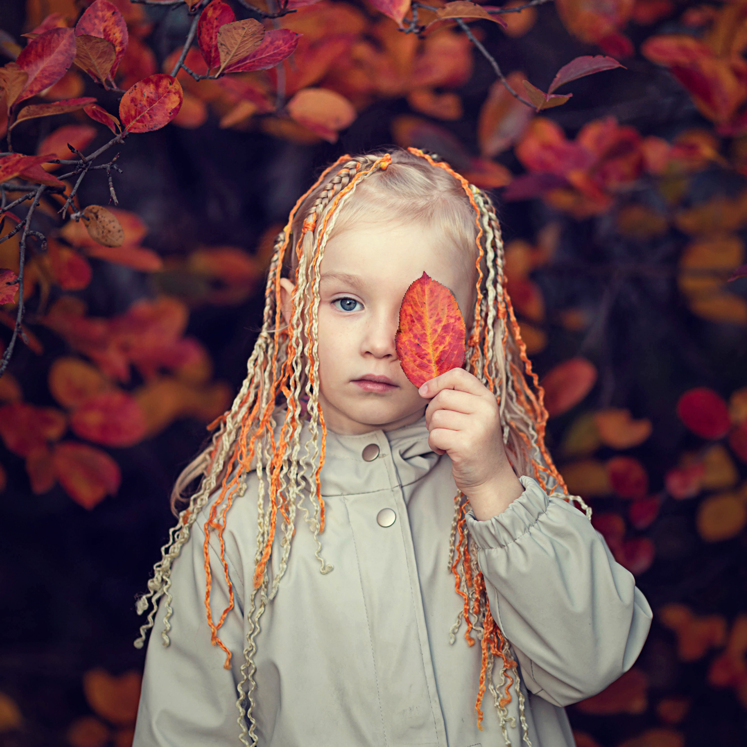 ПРОЕКТ «ОСЕНЬ»