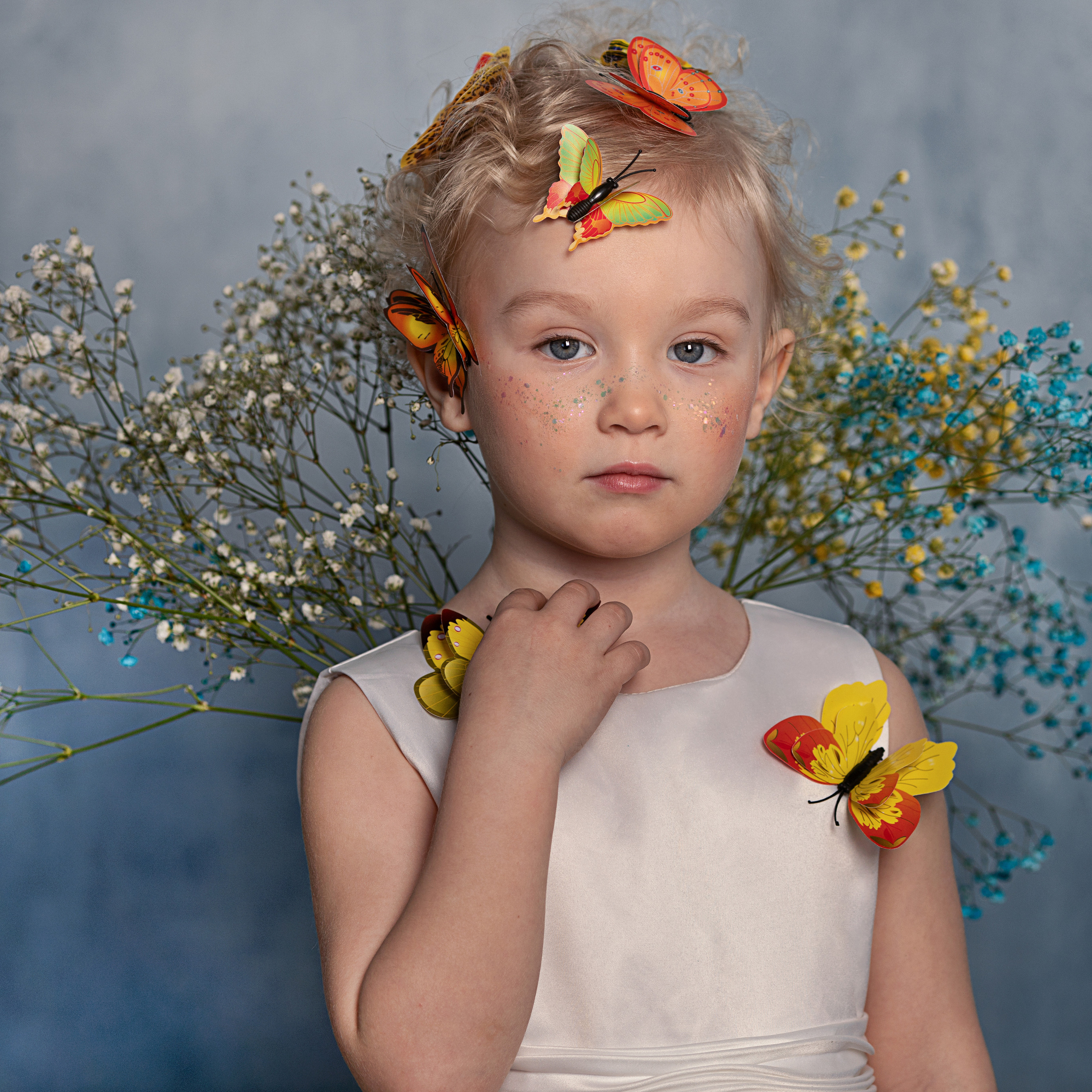 ПРОЕКТ «БАБОЧКИ»