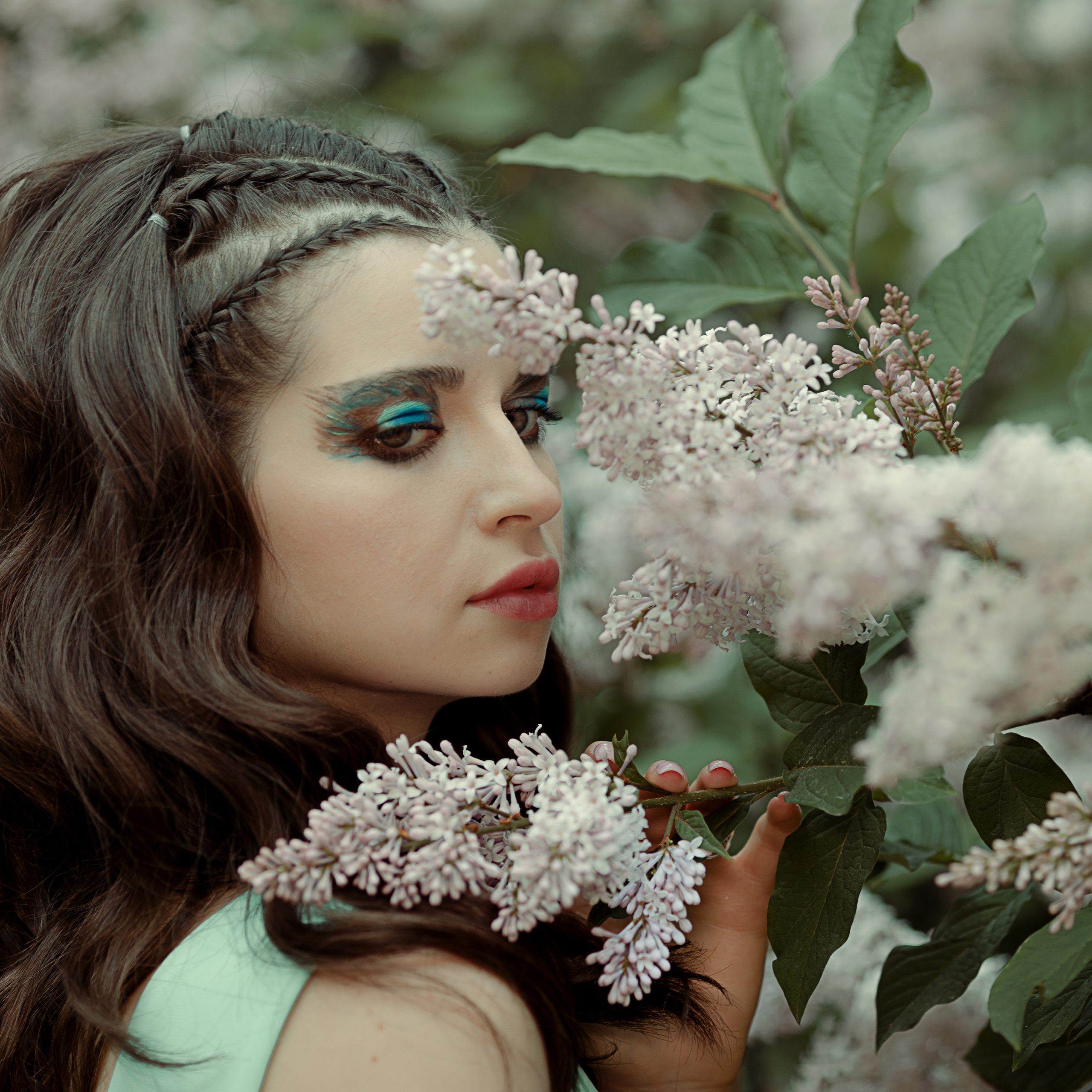 ПРОЕКТ «СИРЕНЬ»