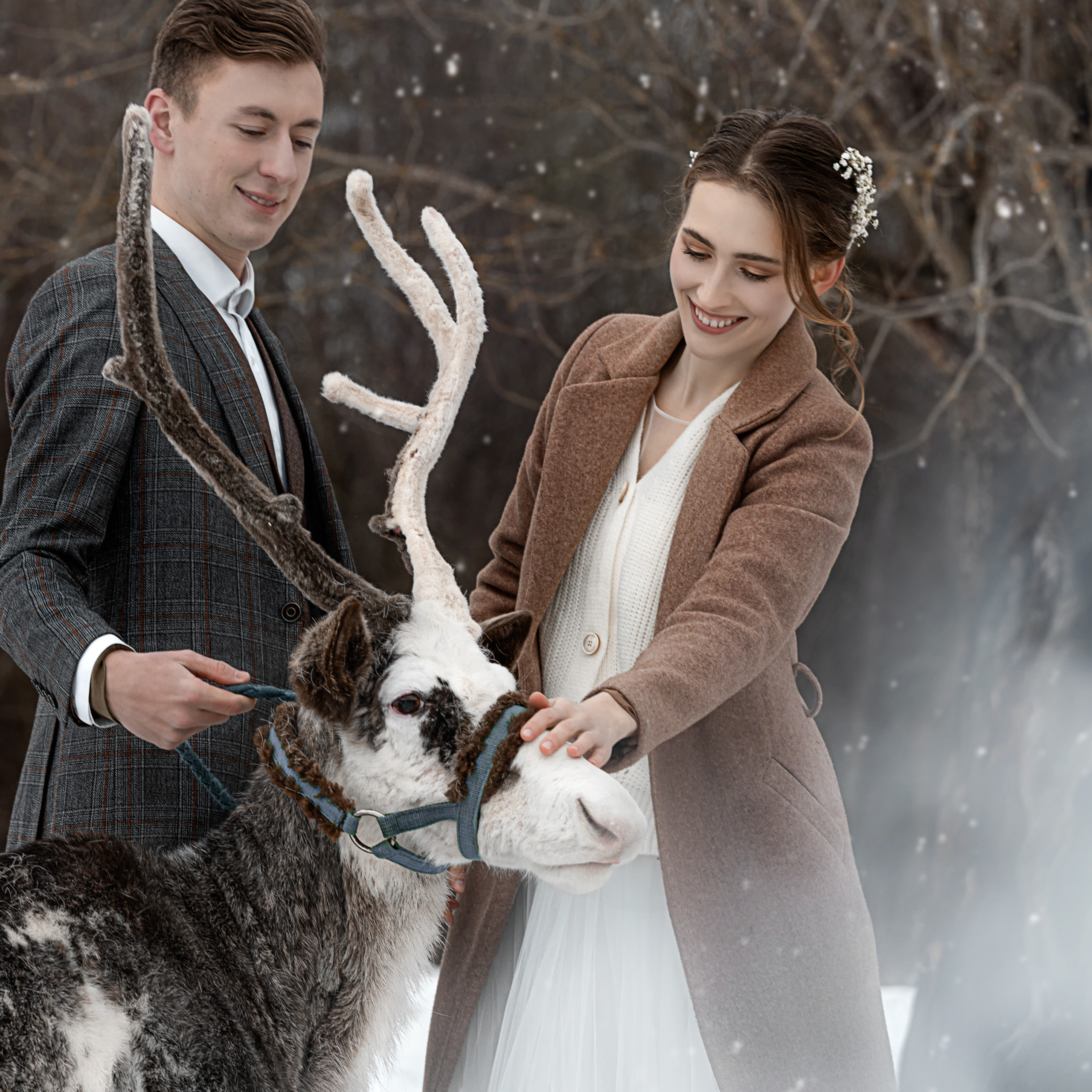 ПРОЕКТ «WINTER STORY».