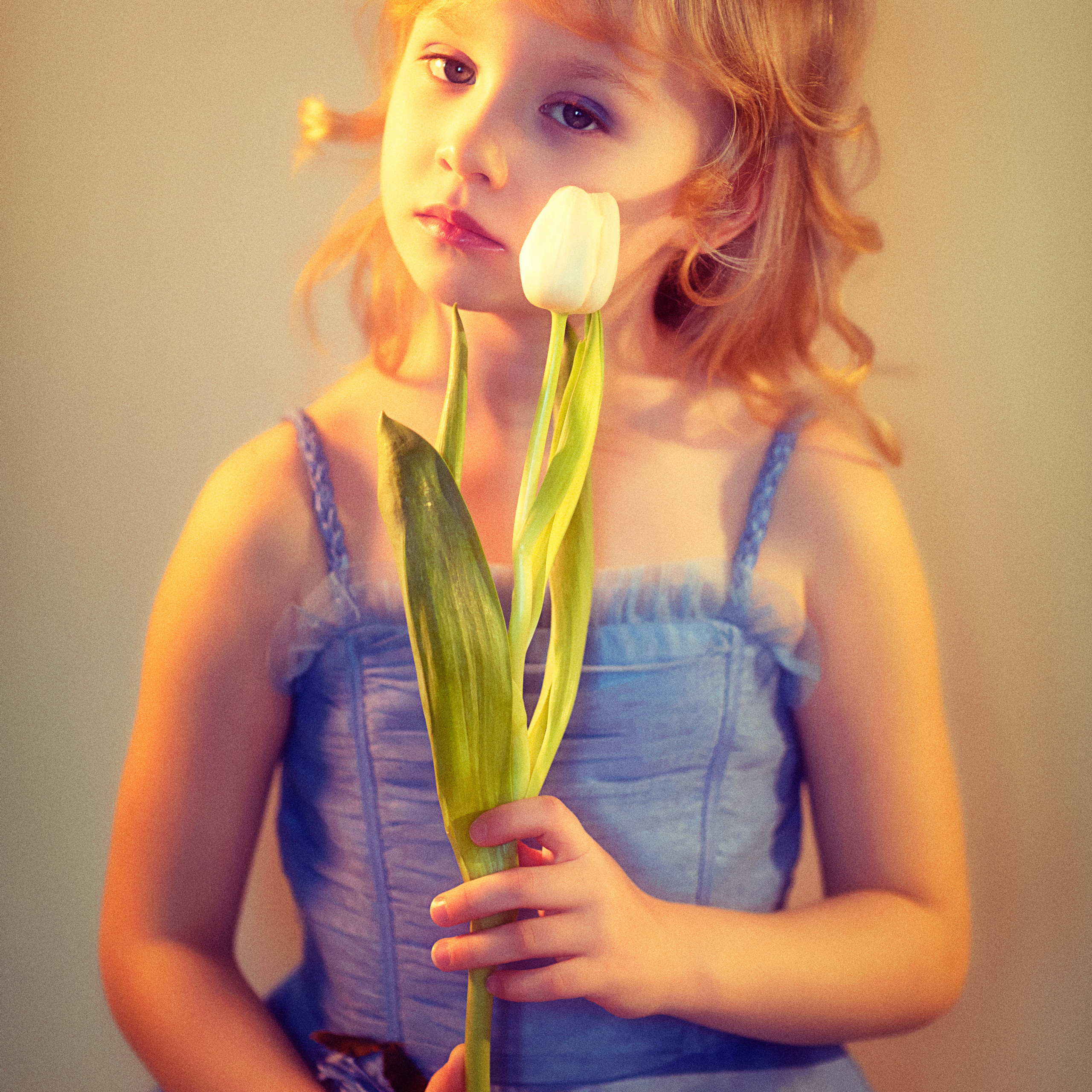 ПРОЕКТ «ТЮЛЬПАНЫ»