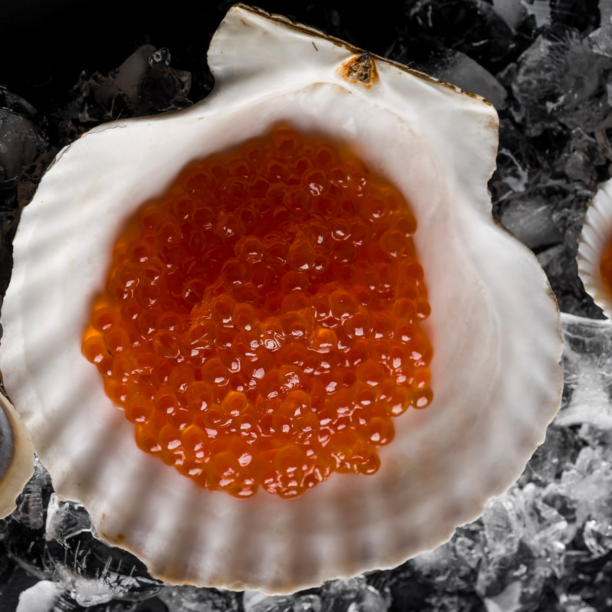 Фуд фотография. Полина Бамбиза фотограф фотосессии Красноярск фотокниги портрет