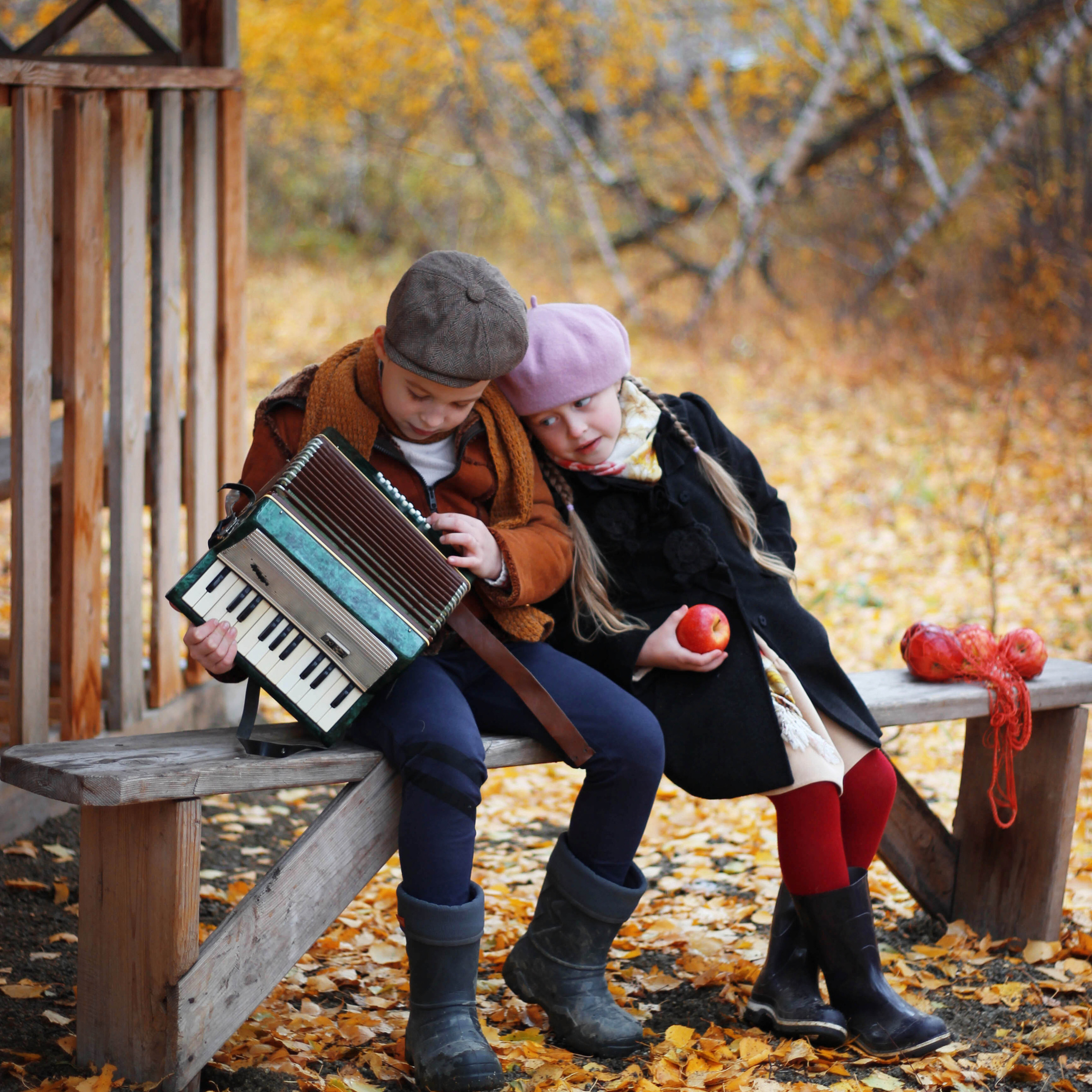 Гармонист история