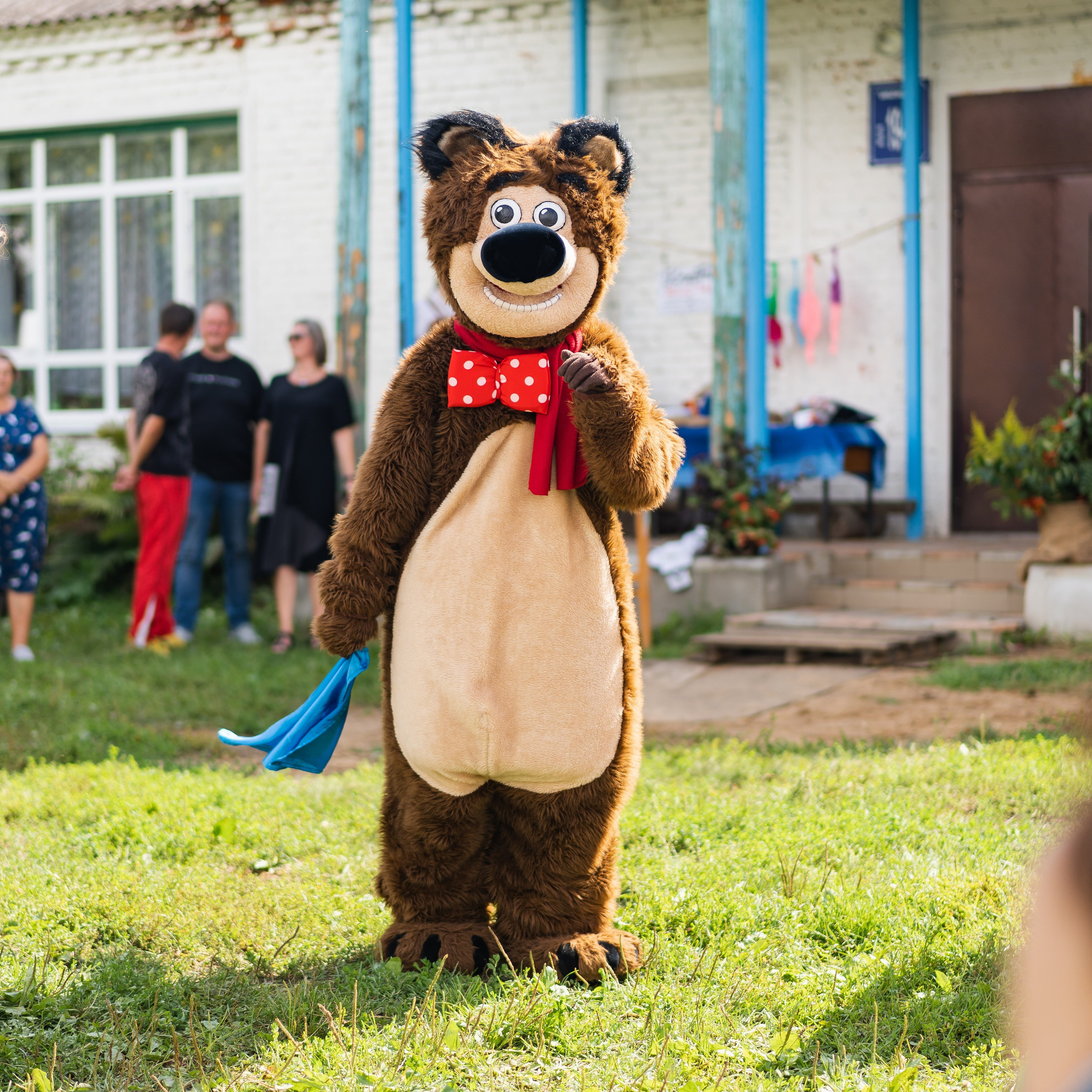 День села Новосёлка