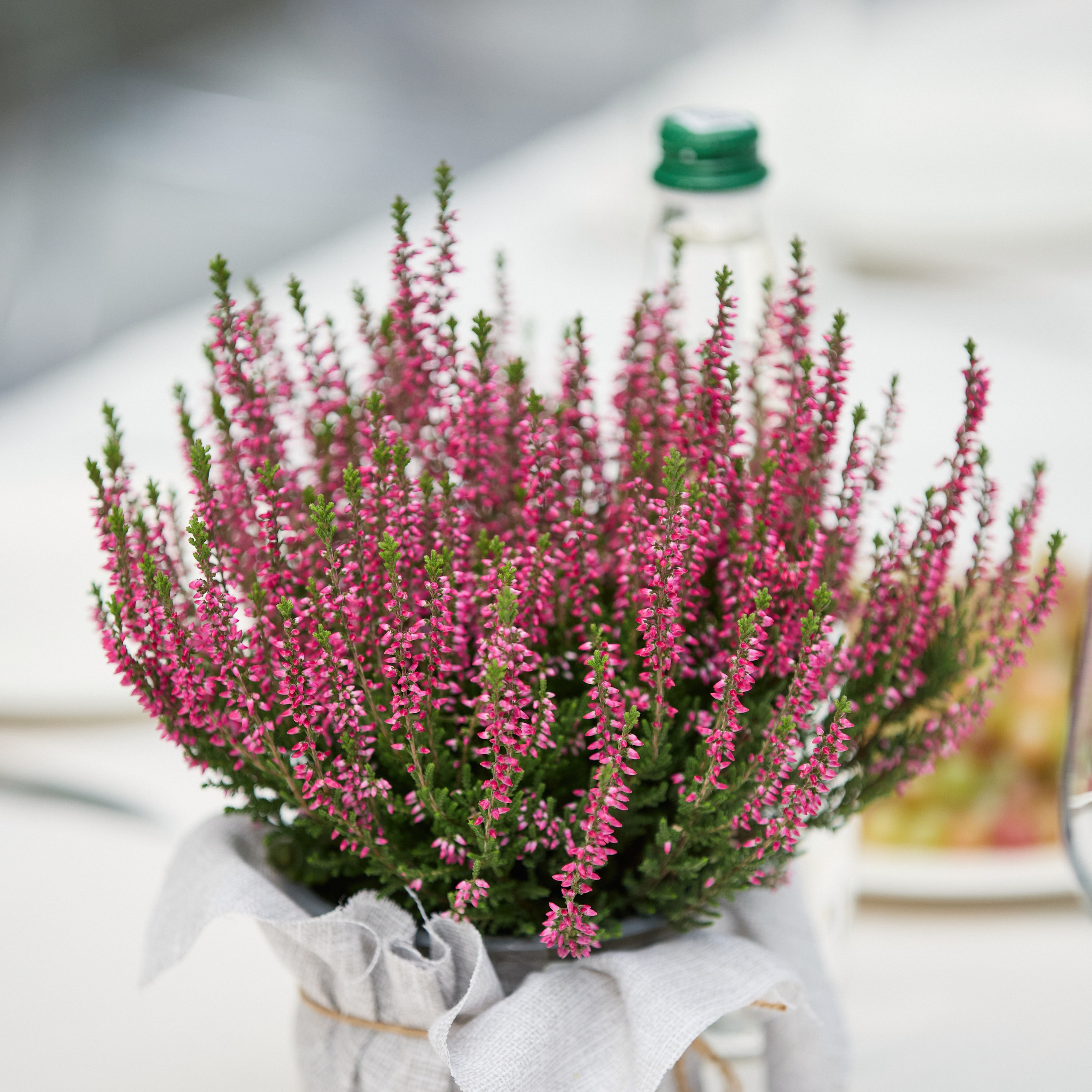 Отзывы. Другой взгляд на фотографию