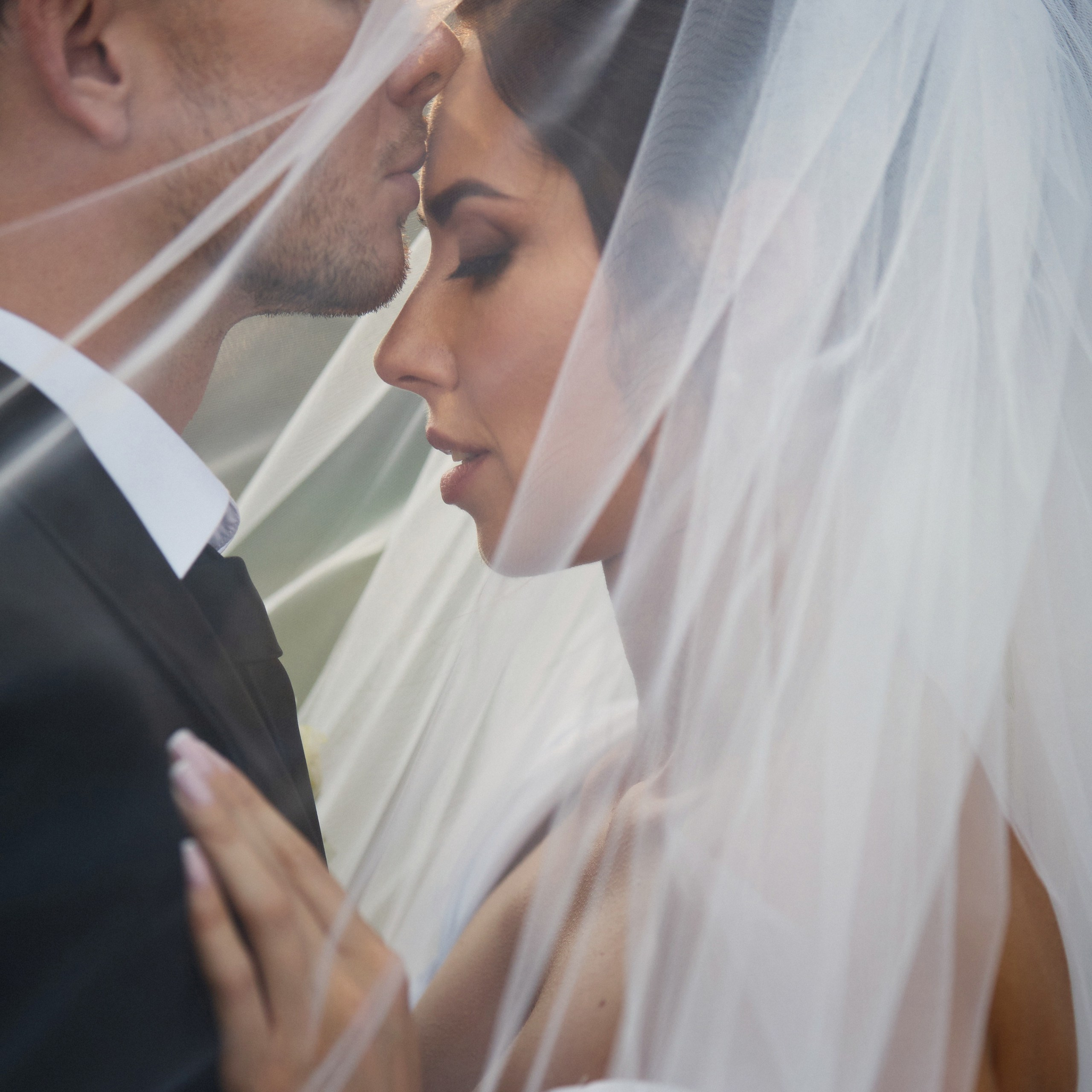 Максим & Алёна / Justwood