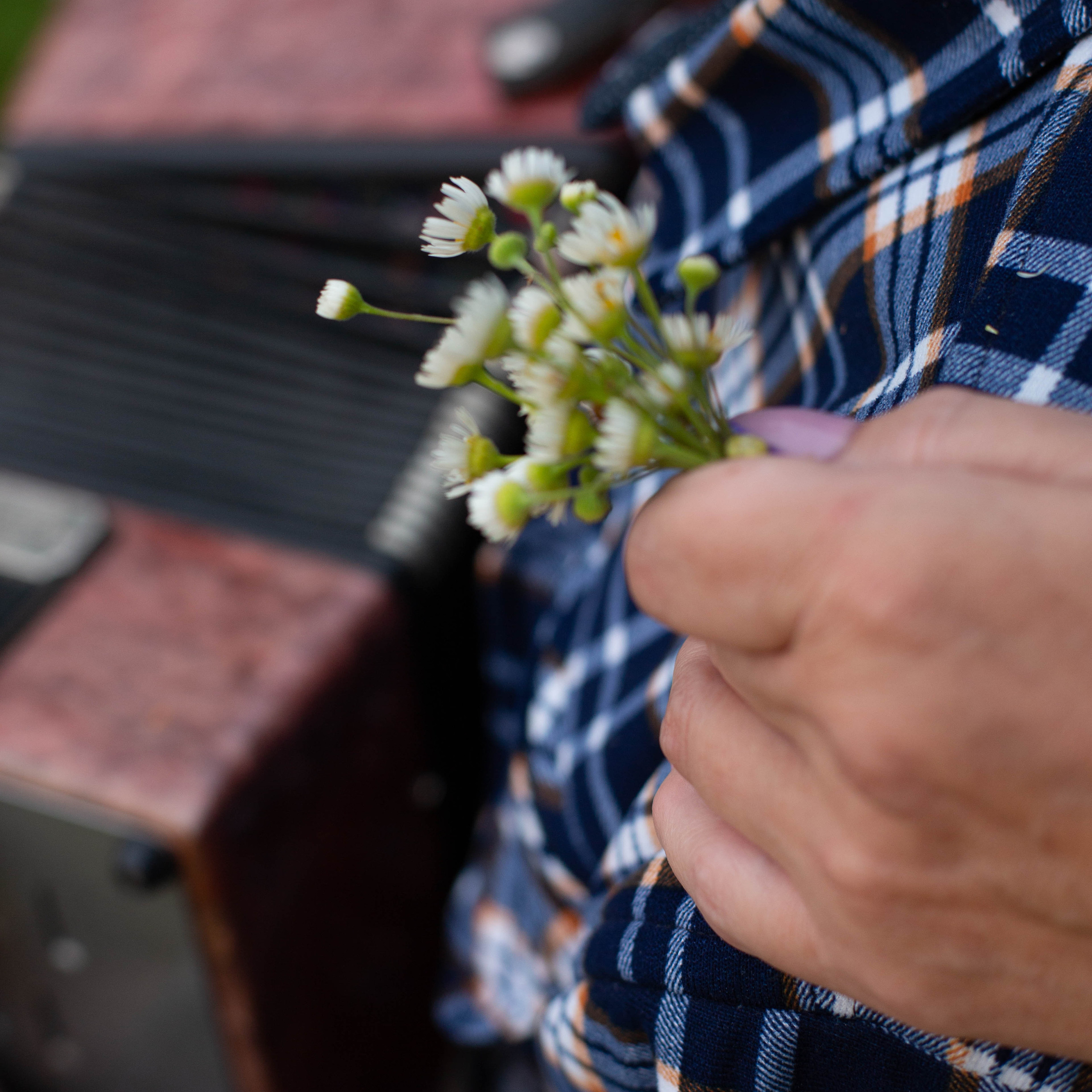 Отзывы. Фотограф Мытищи Москва Света Алешина