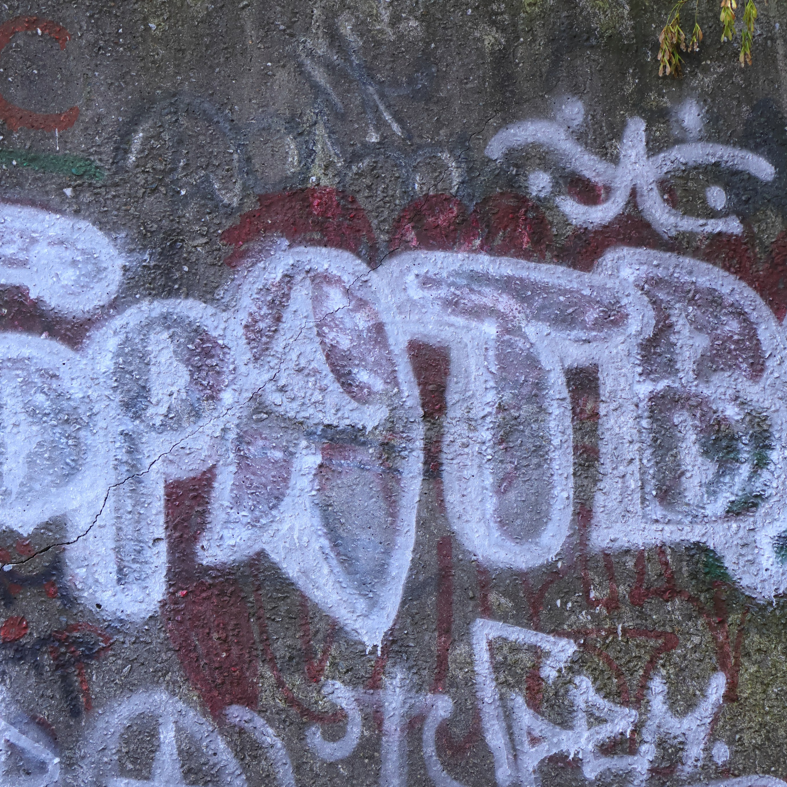 «Рок-зона ". Фотограф АНАСТАСИЯ ПЛАТОВА